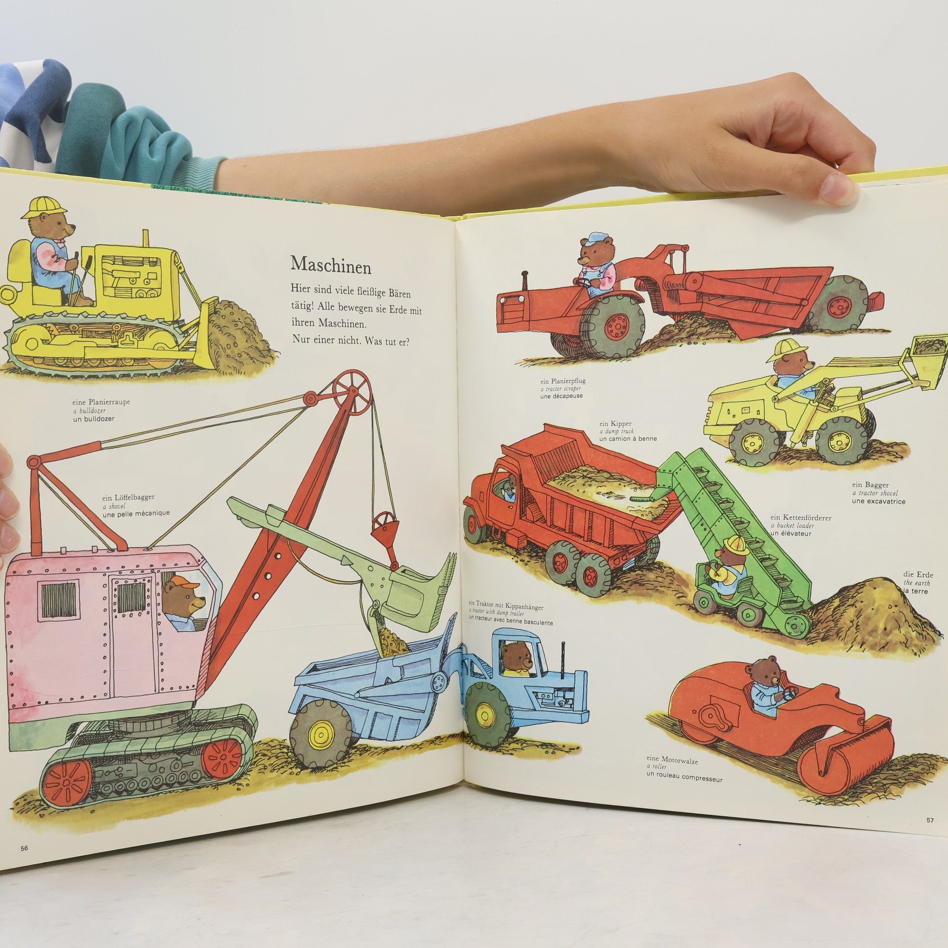 Richard Scarry Mein allerschönstes Wörterbuch