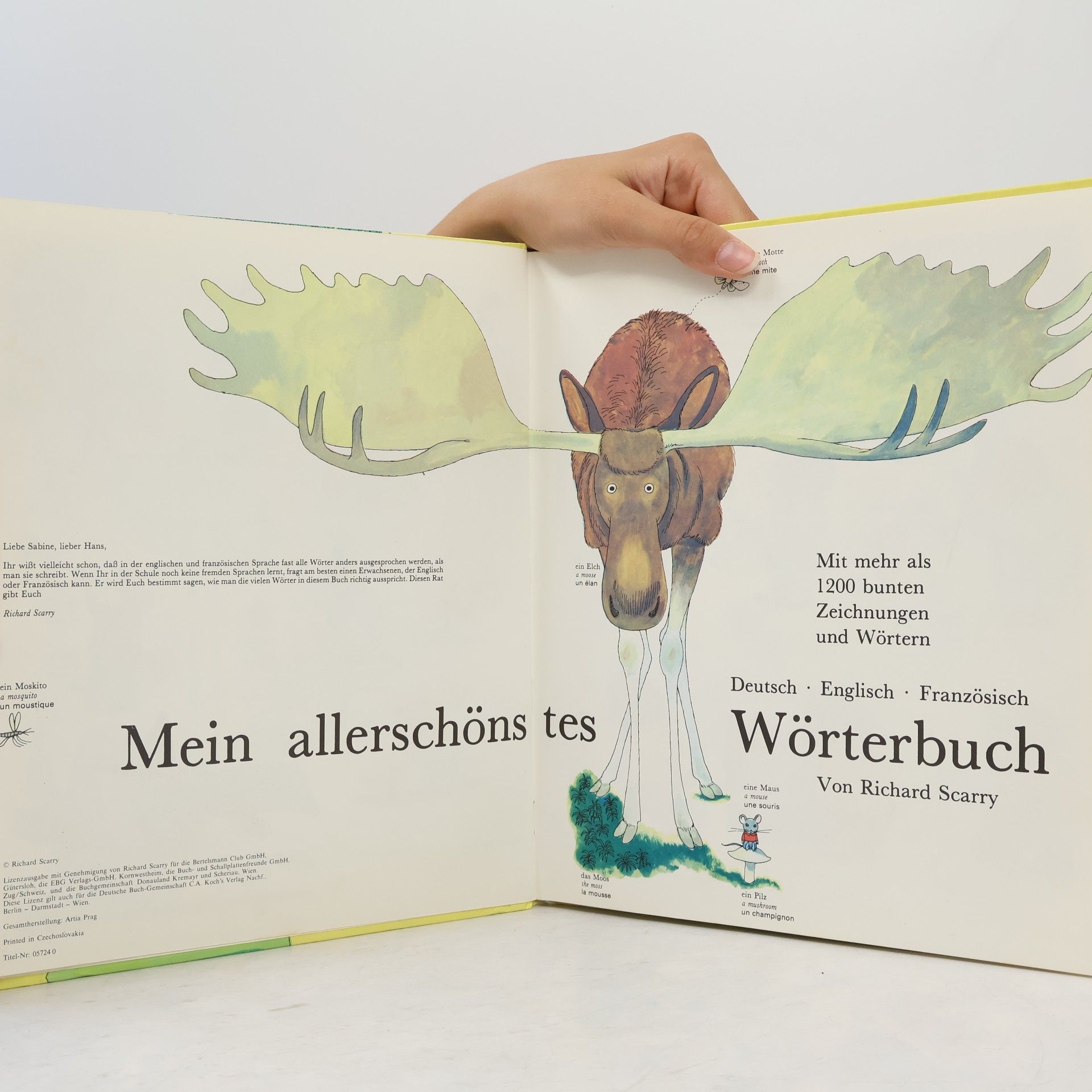 Richard Scarry Mein allerschönstes Wörterbuch