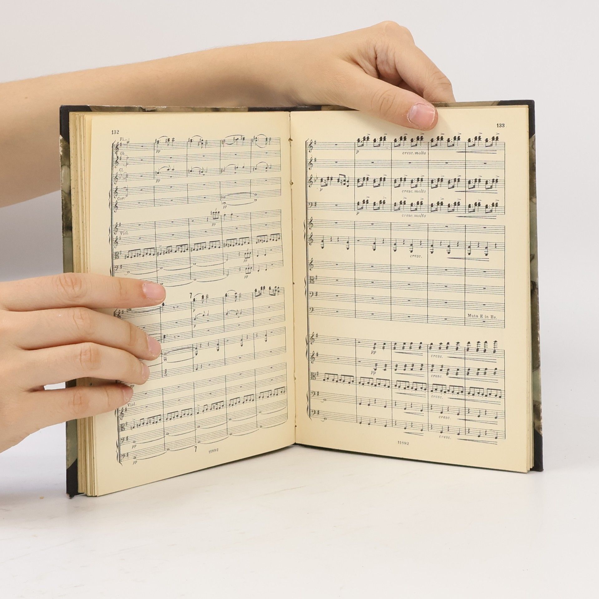 Antonín Dvořák Aus der neuen Welt