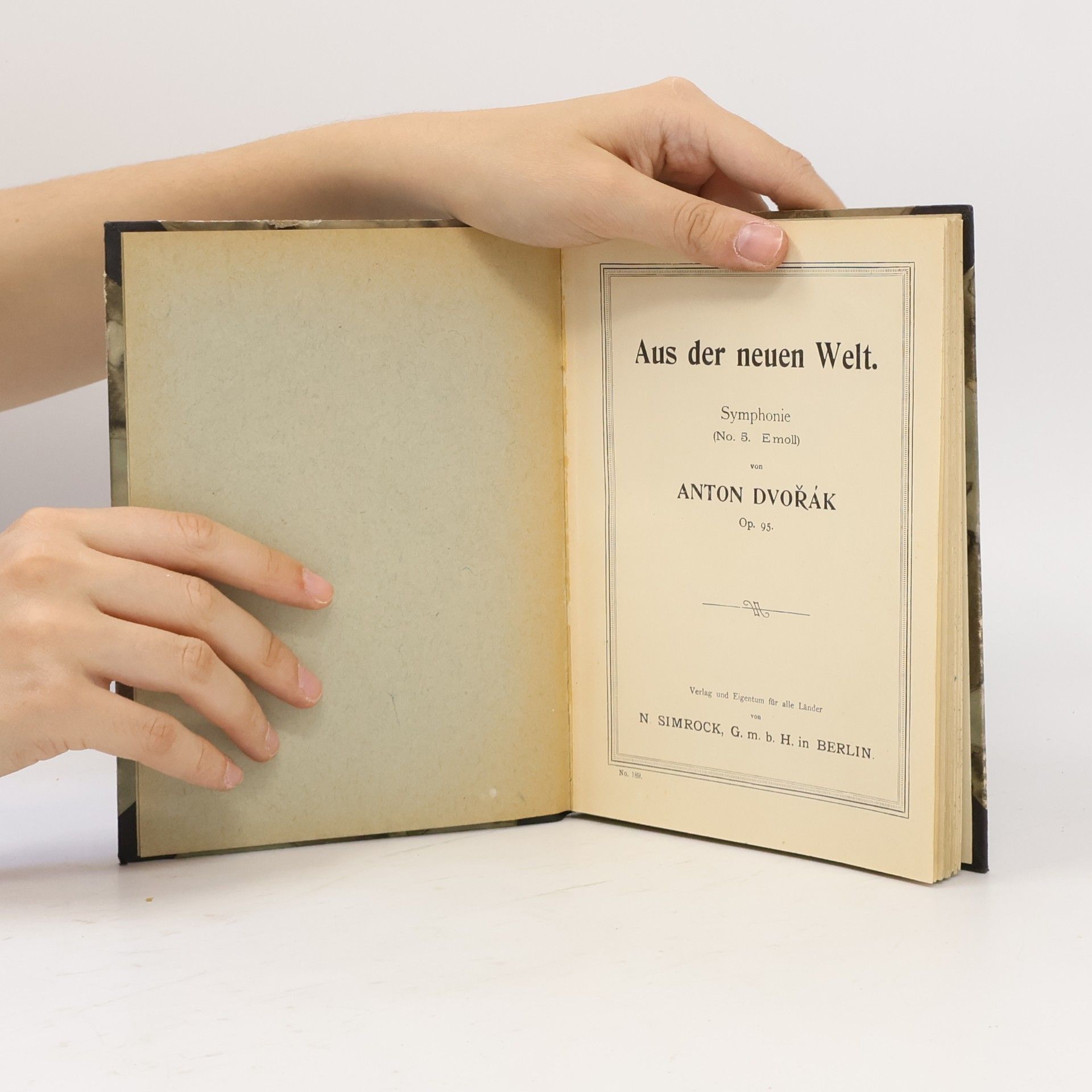 Antonín Dvořák Aus der neuen Welt
