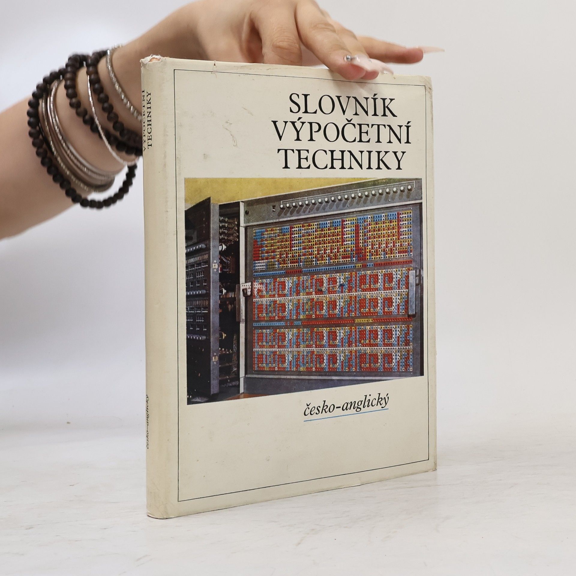 Autorenkollektiv Slovník výpočetní techniky. Česko-anglický