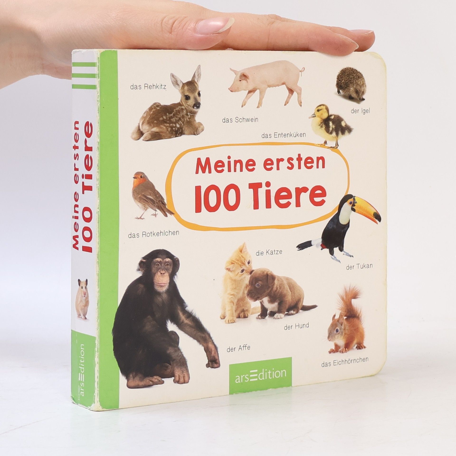 Autorenkollektiv Meine ersten 100 Tiere