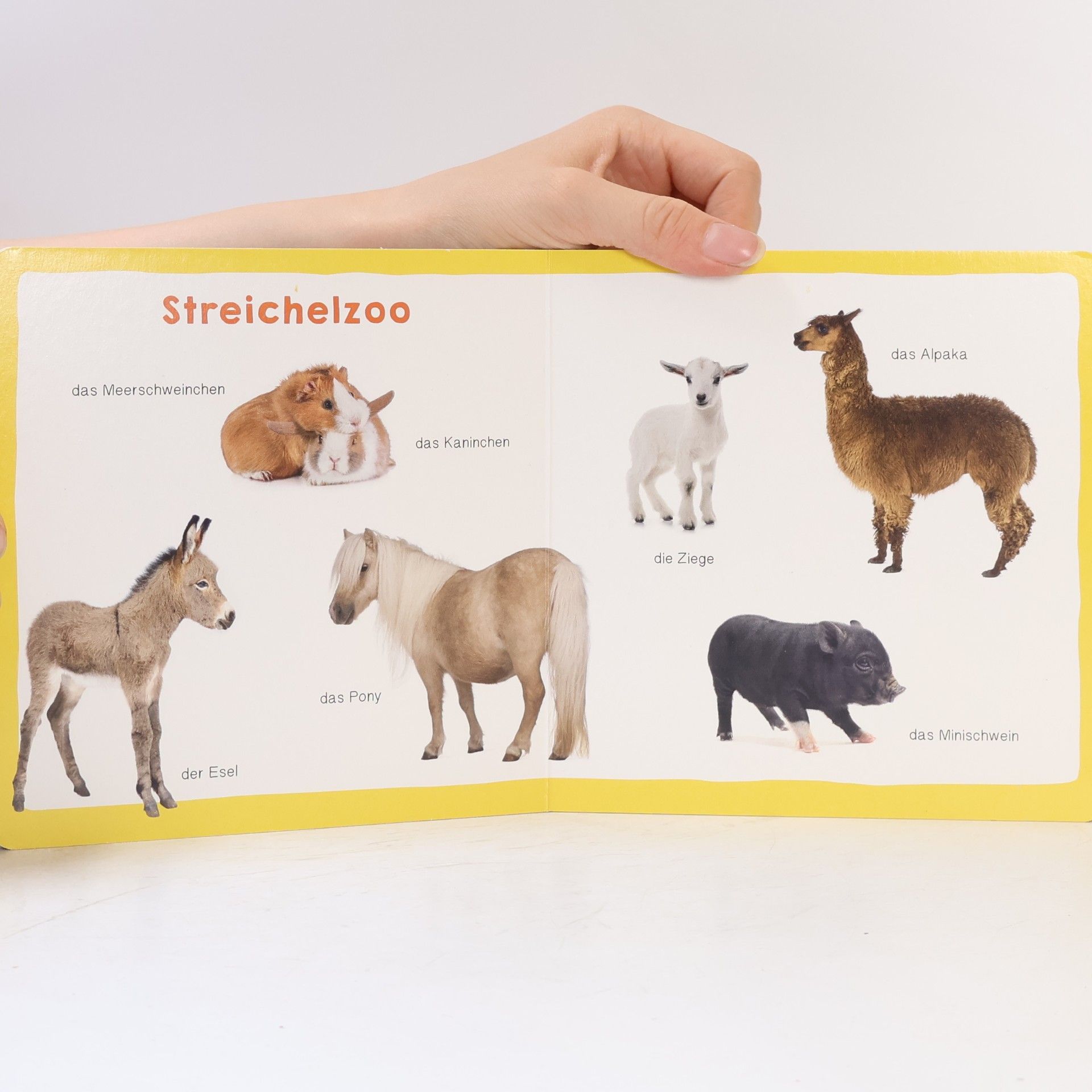 Meine ersten 100 Tiere