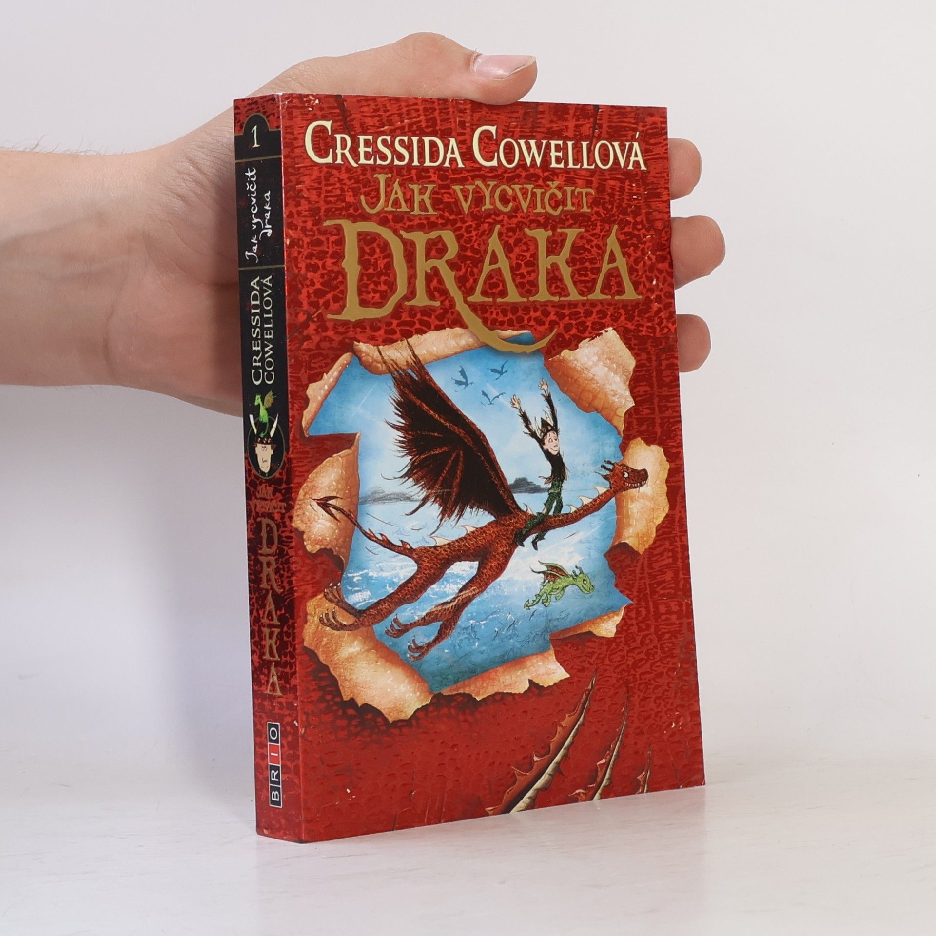 Cressida Cowell Jak vycvičit draka