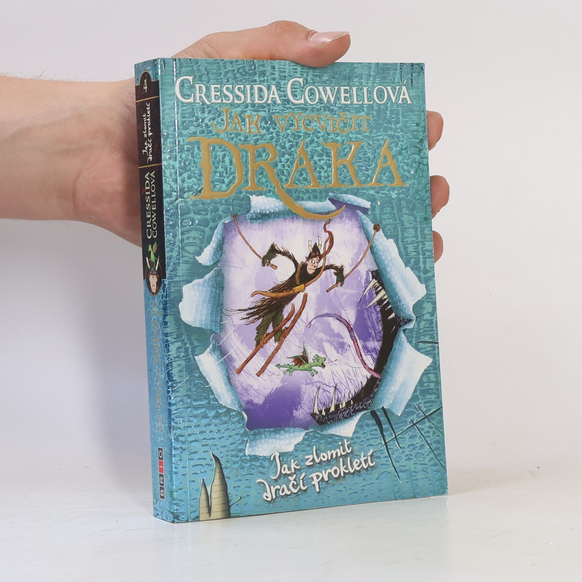 Cressida Cowell Jak zlomit dračí prokletí (Škyťák Šelmovská Štika III.) 4
