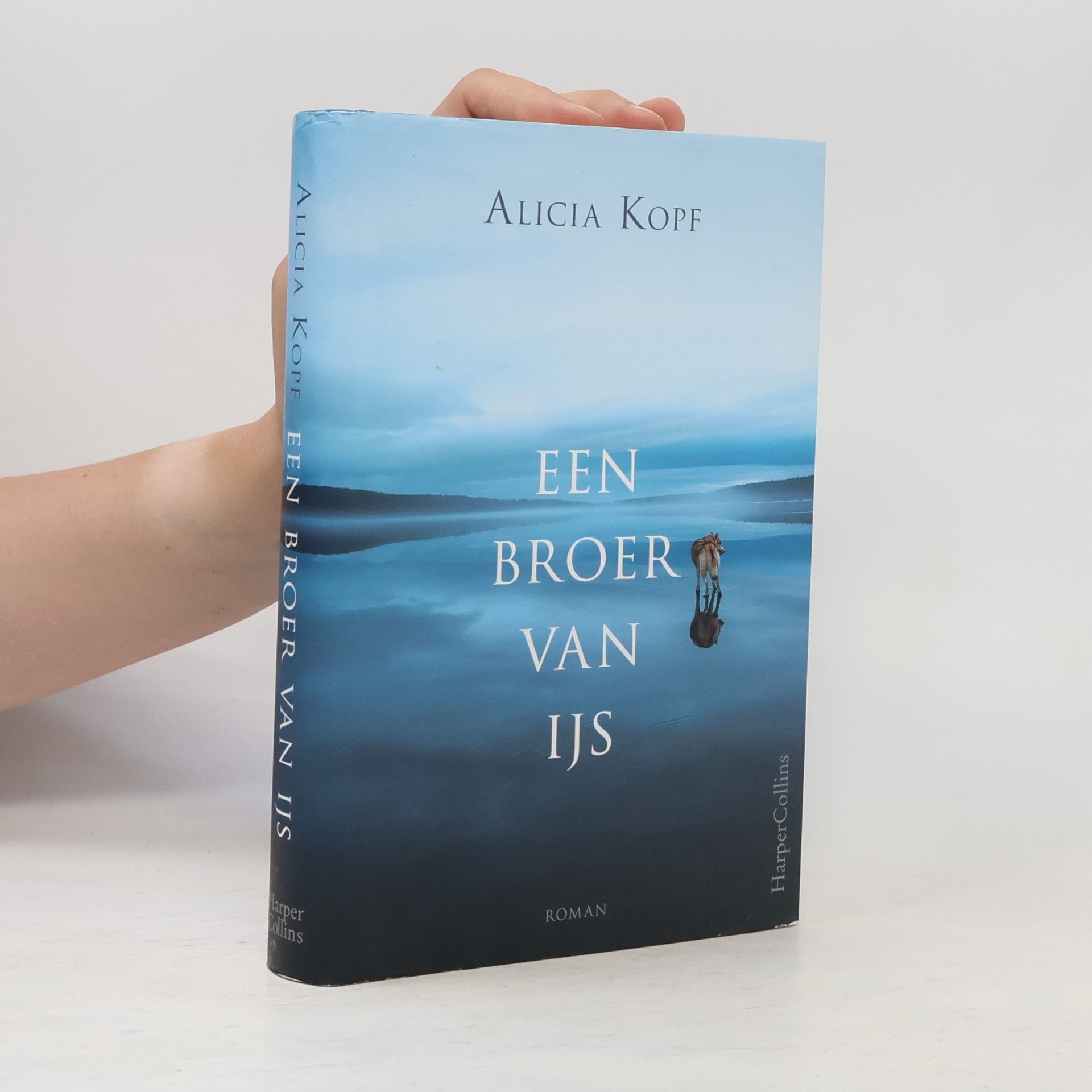 Alicia Kopf Een broer van ijs