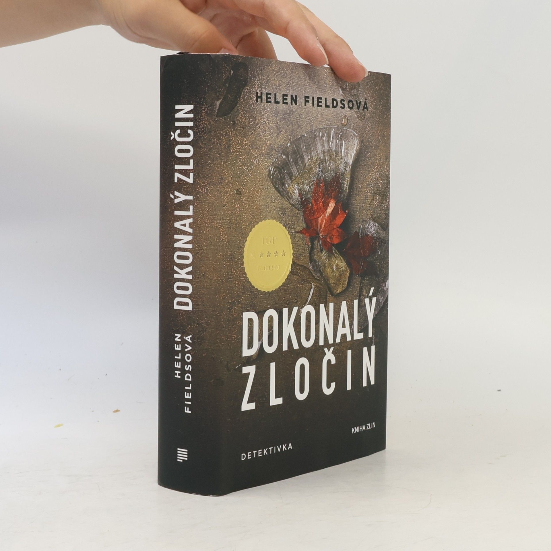 Helen Fields Dokonalý zločin