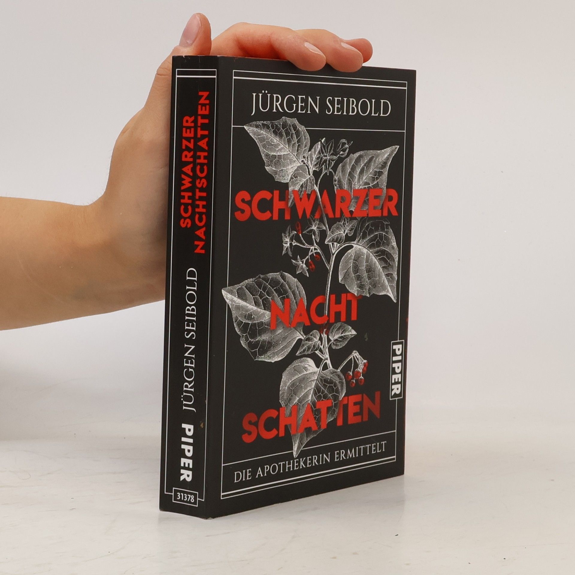 Jürgen Seibold Schwarzer Nachtschatten