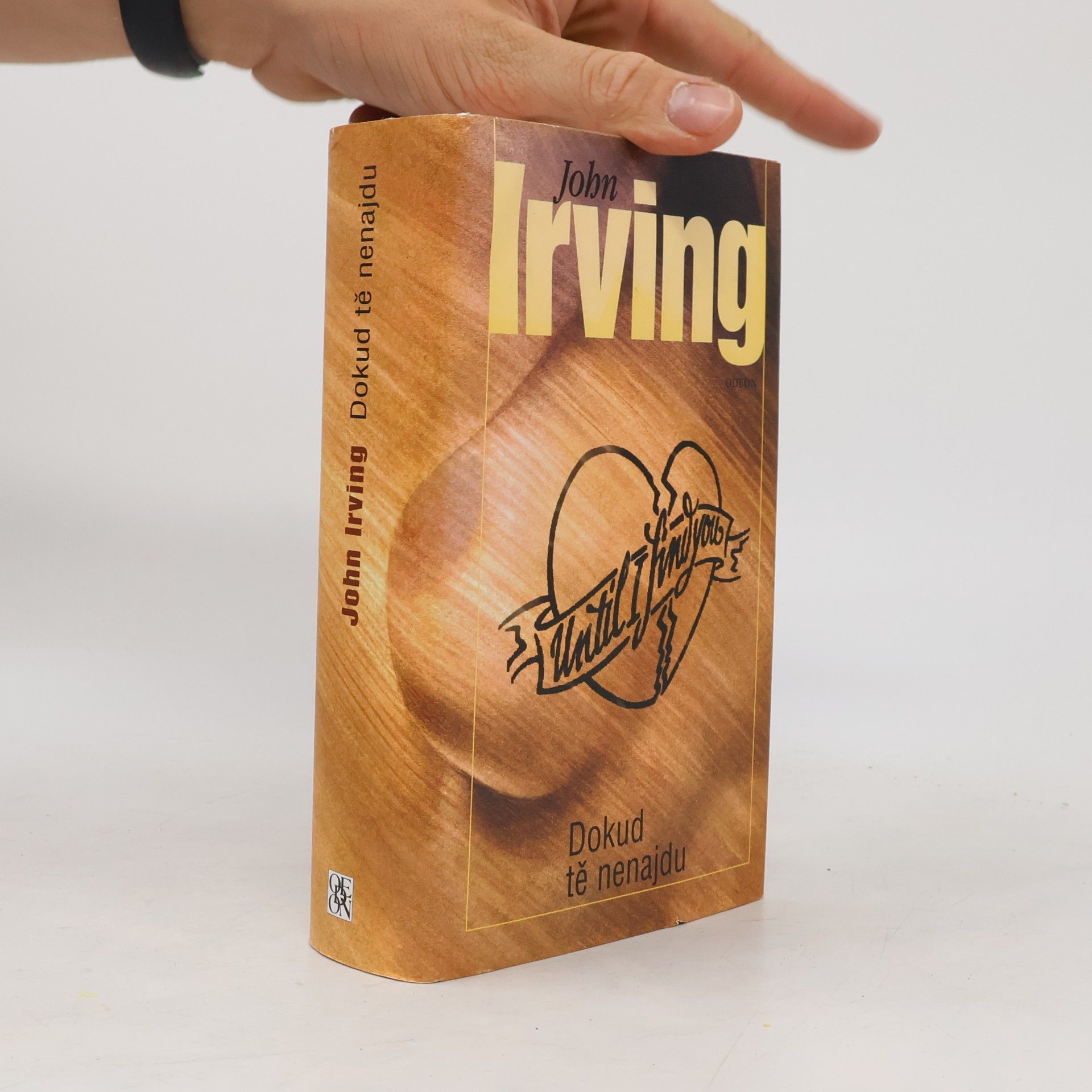 John Irving Dokud tě nenajdu