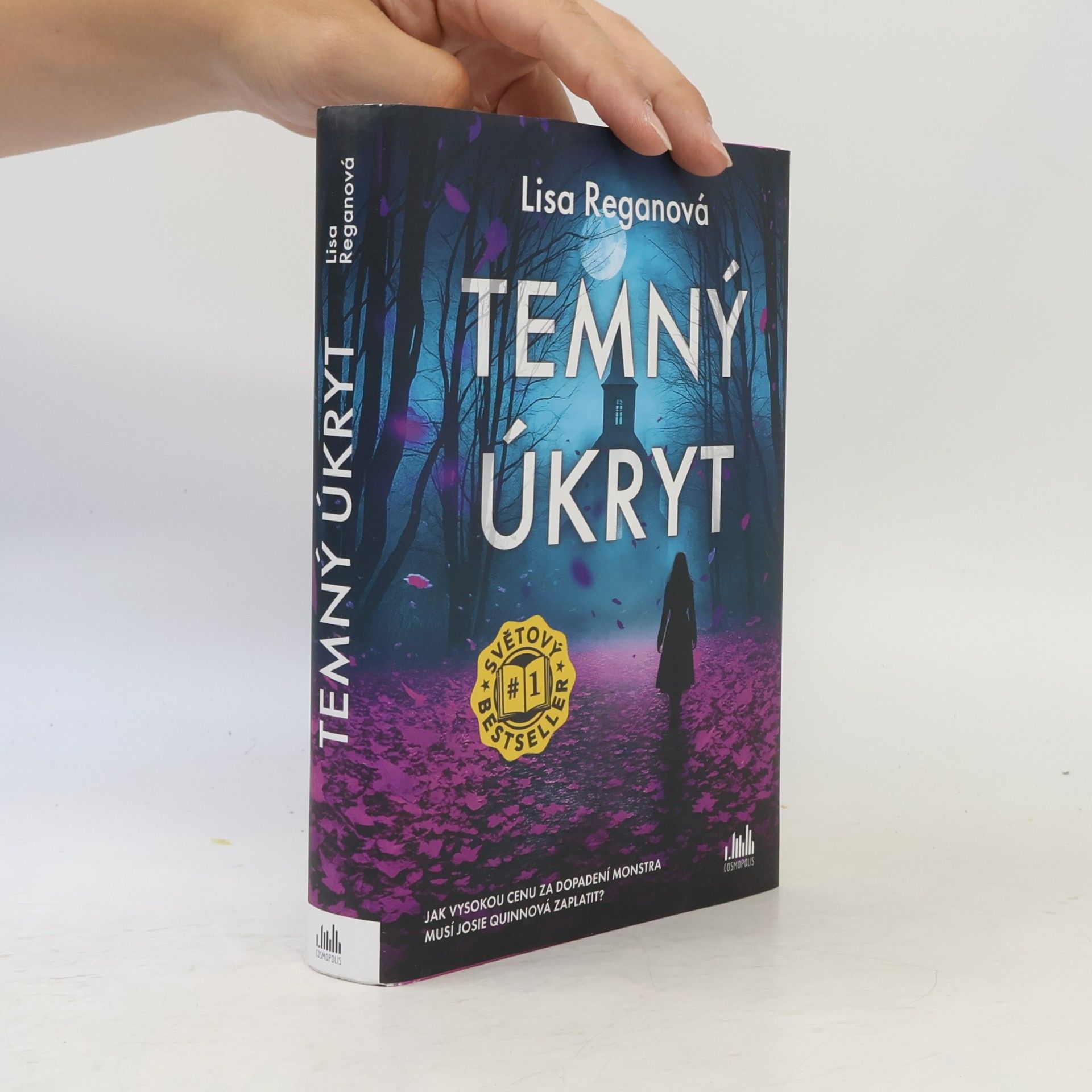 Lisa Regan Temný úkryt