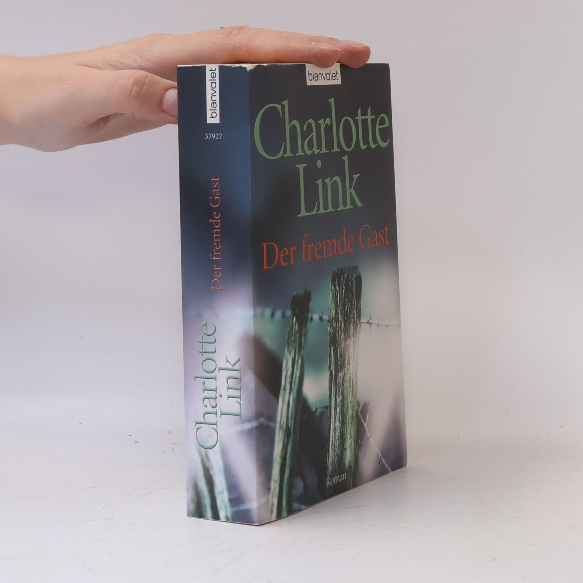 Charlotte Link Der fremde Gast