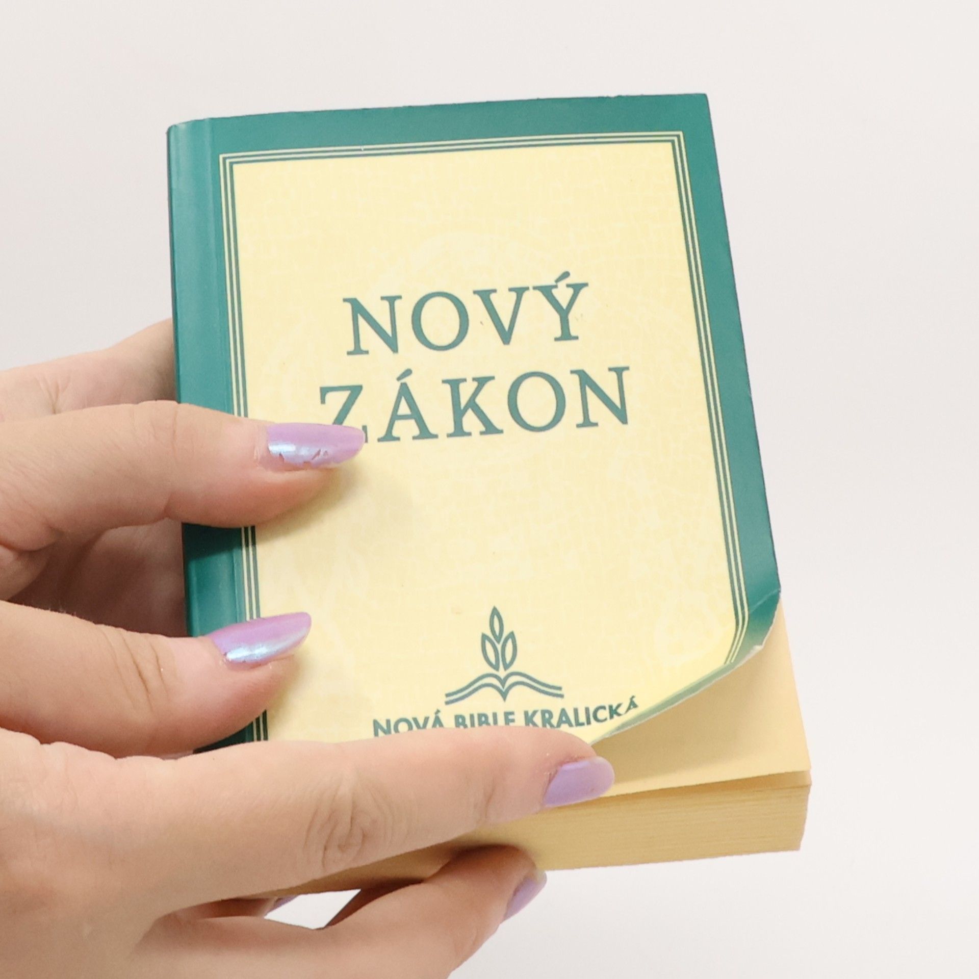 Pavel Hoffman Nový Zákon Našeho Pána a Spasitele Ježíše Krista: Nová Bible kralická