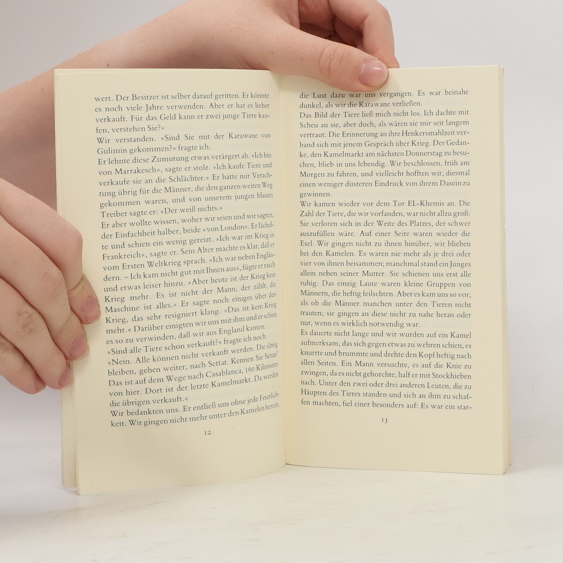 Elias Canetti Die Stimmen von Marrakesch