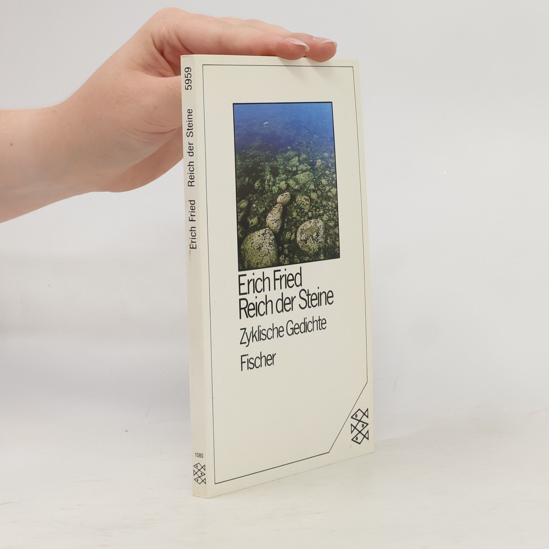 Erich Fried Reich der Steine