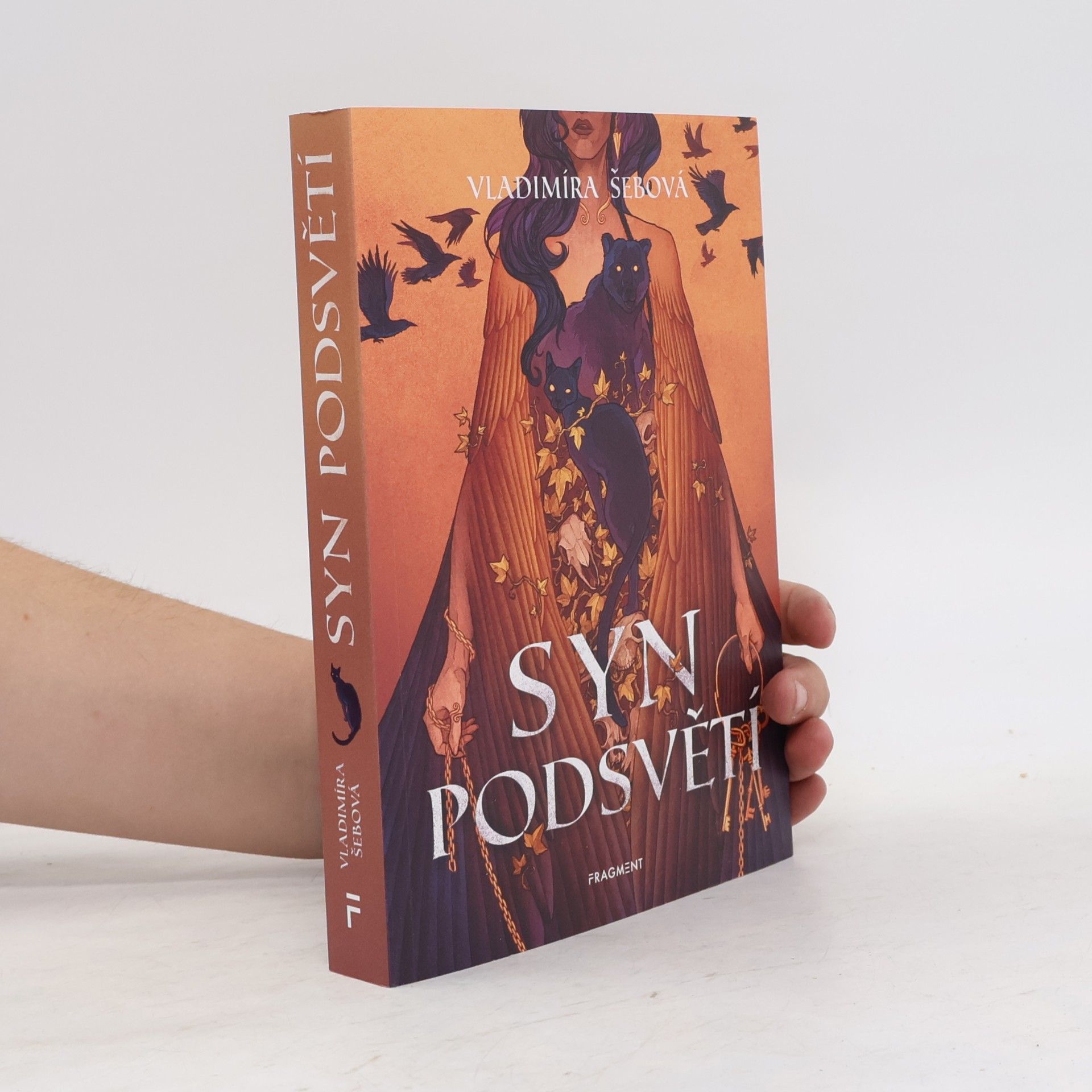 Vladimíra Šebová Syn podsvětí