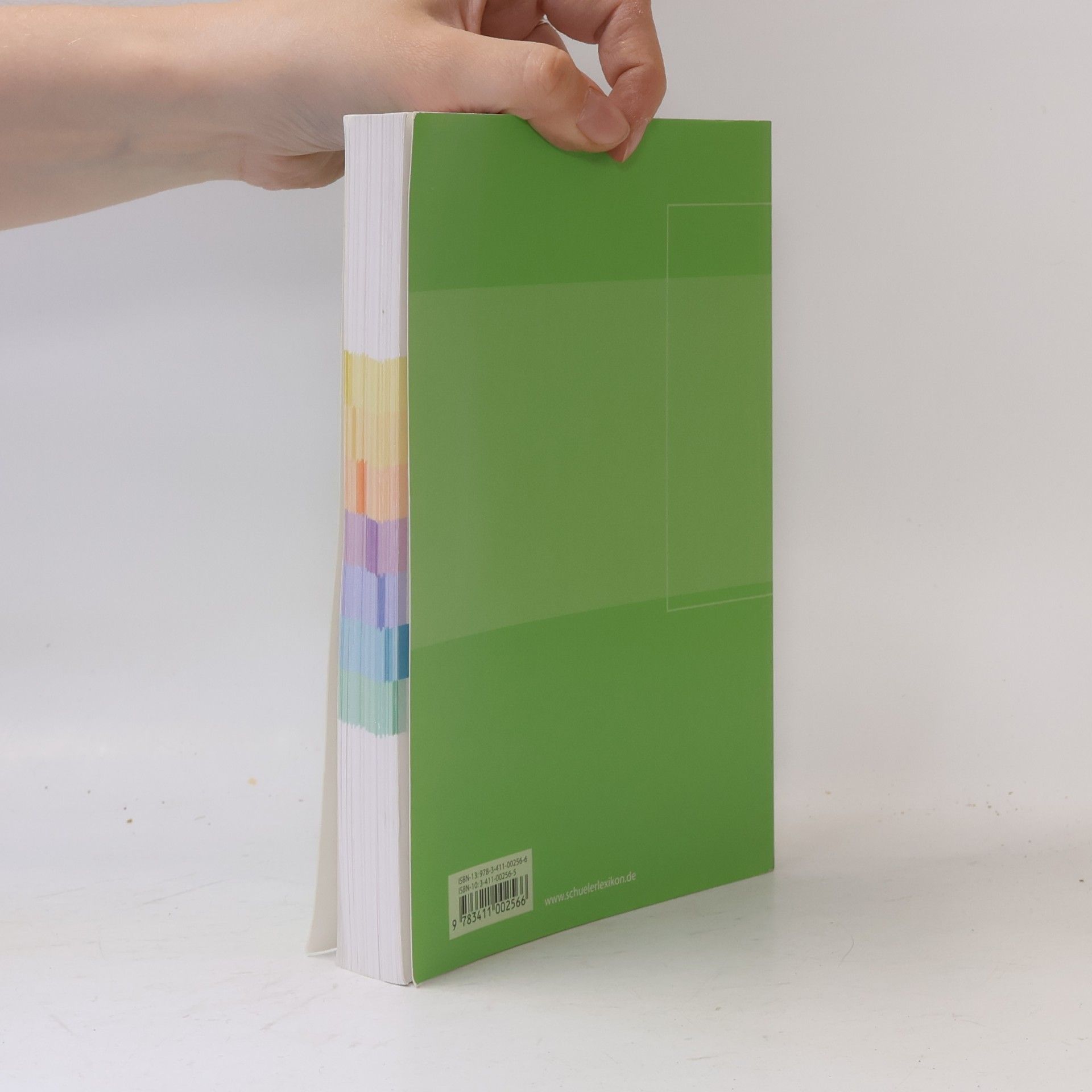 Autorenkollektiv Abiturwissen. Geografie