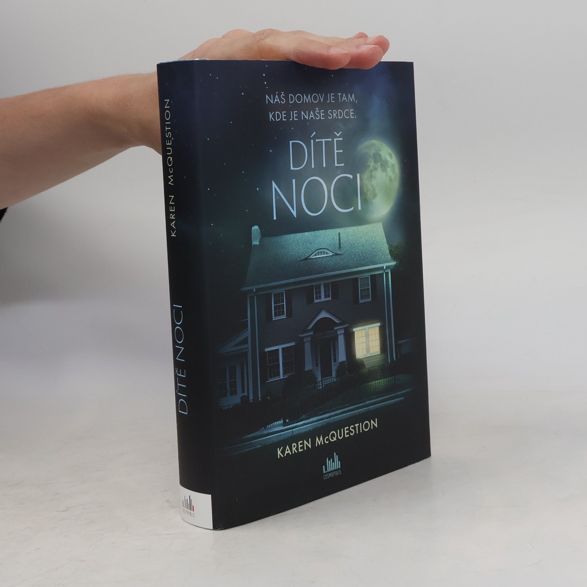 Karen McQuestion Dítě noci