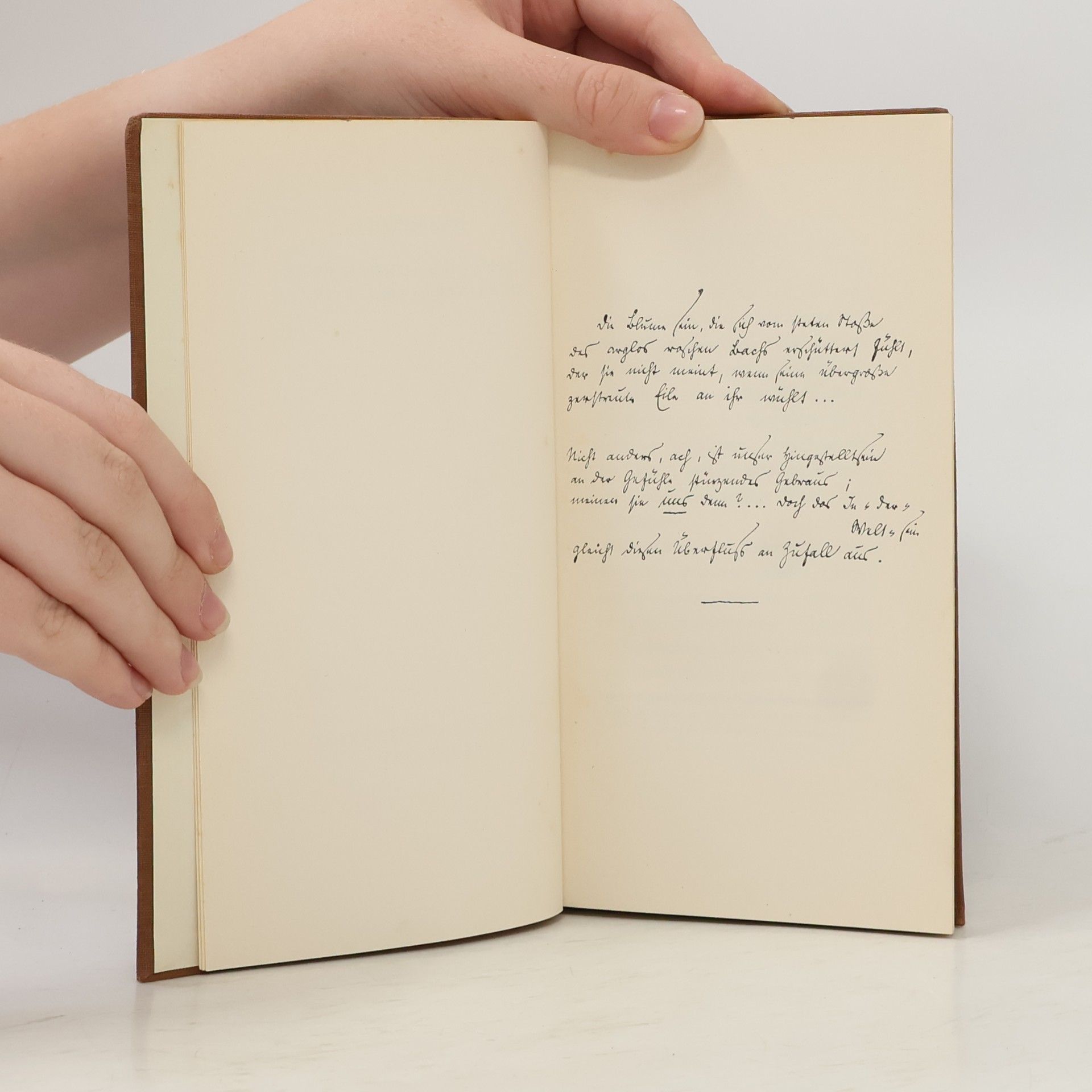 Lisa Heise Briefe einer jungen Frau an Rainer Maria Rilke