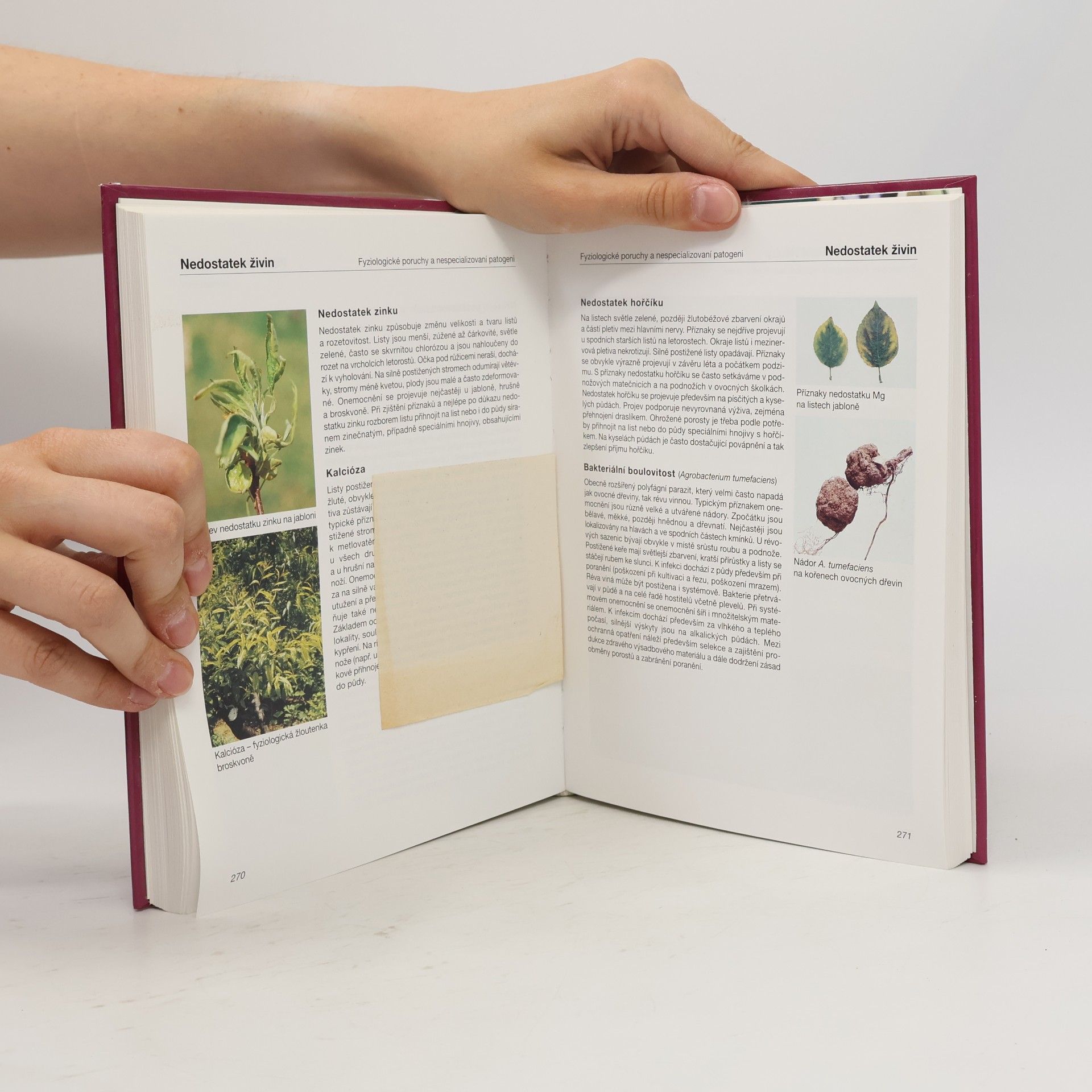 M. Hluchý Obrazový atlas chorob a škůdců ovocných dřevin a révy vinné