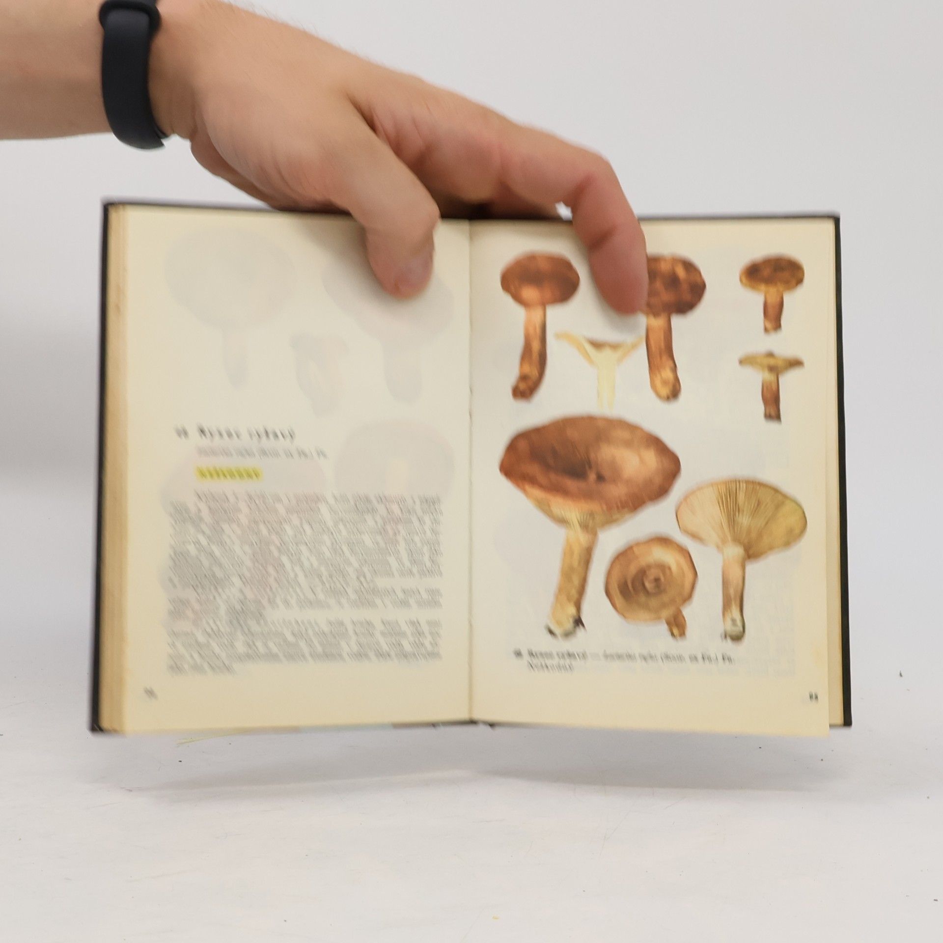 Otto Ušák Kapesní atlas hub