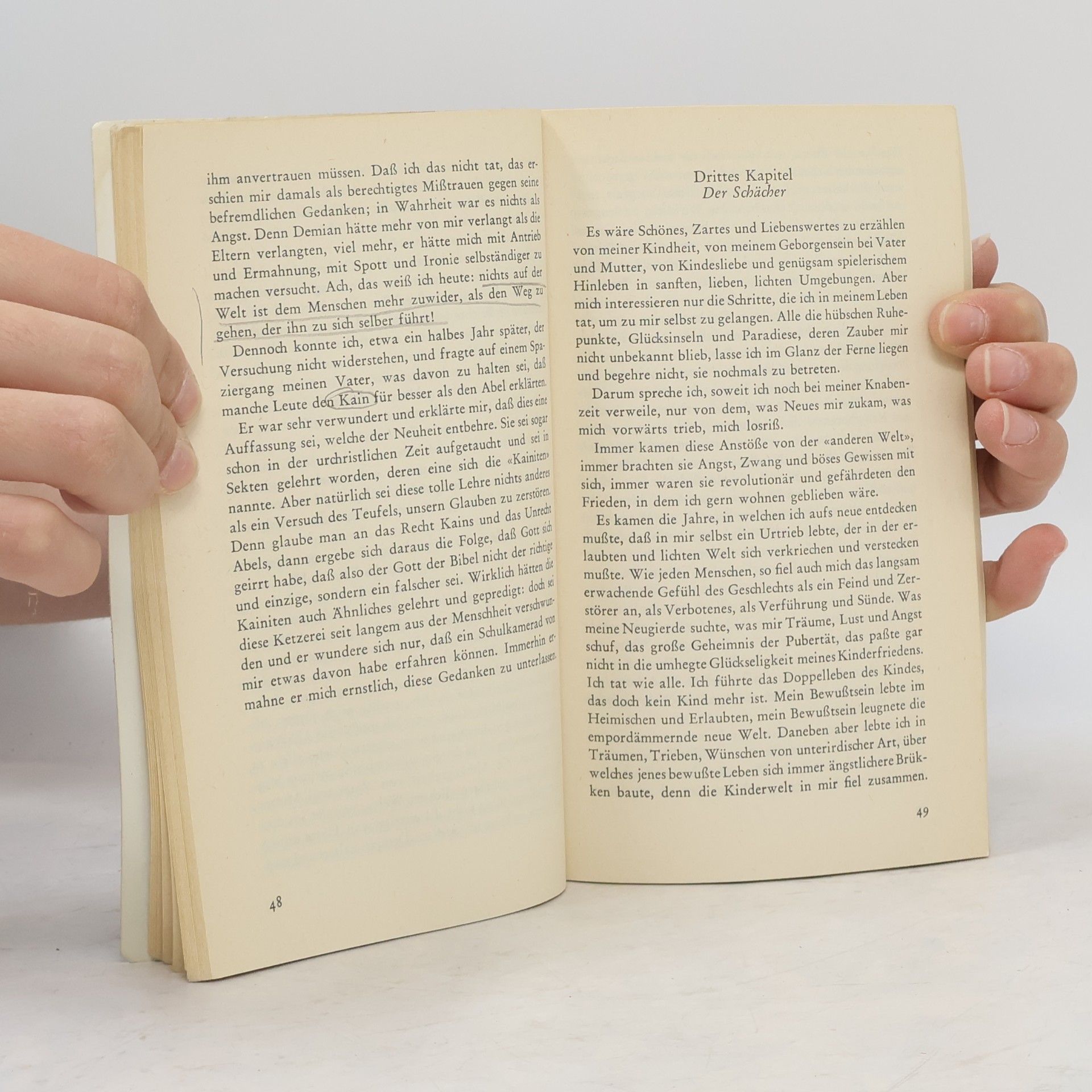Hermann Hesse Demian : die Geschichte von Emil Sinclairs Jugend