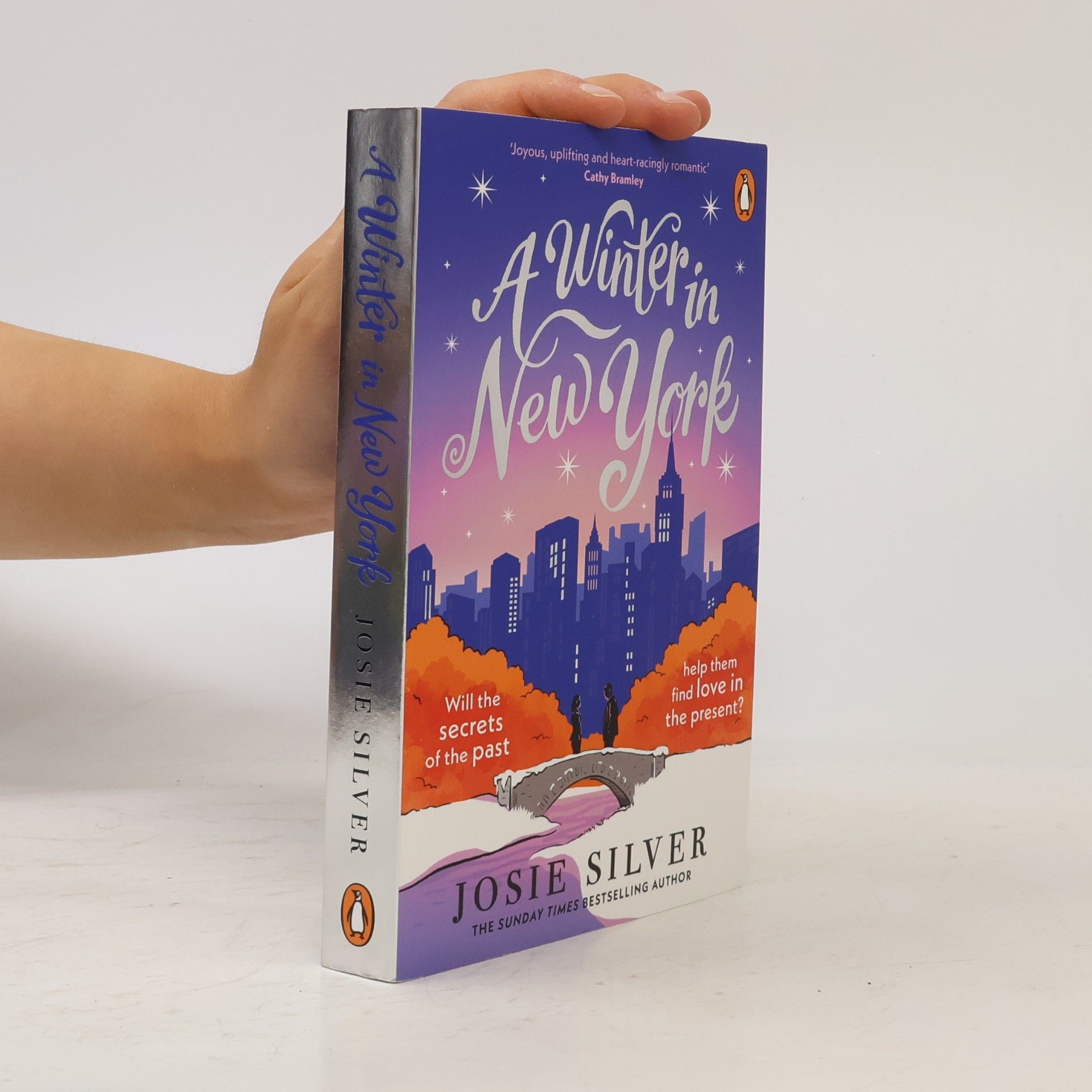 Josie Silver A Winter in New York
