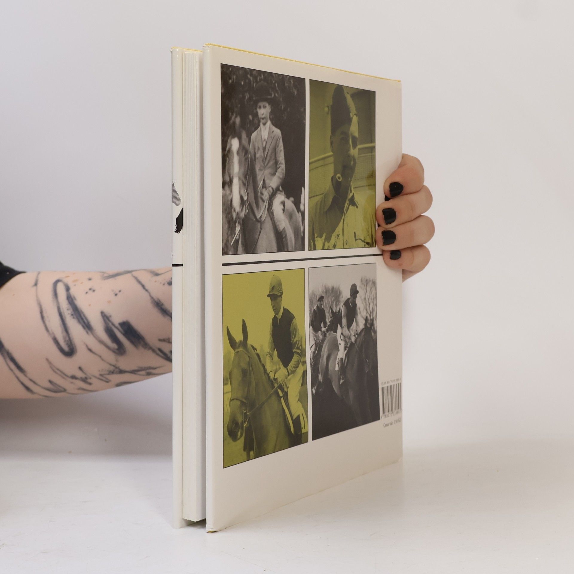 Bryony Fuller Dick Francis: žokej steeplechase