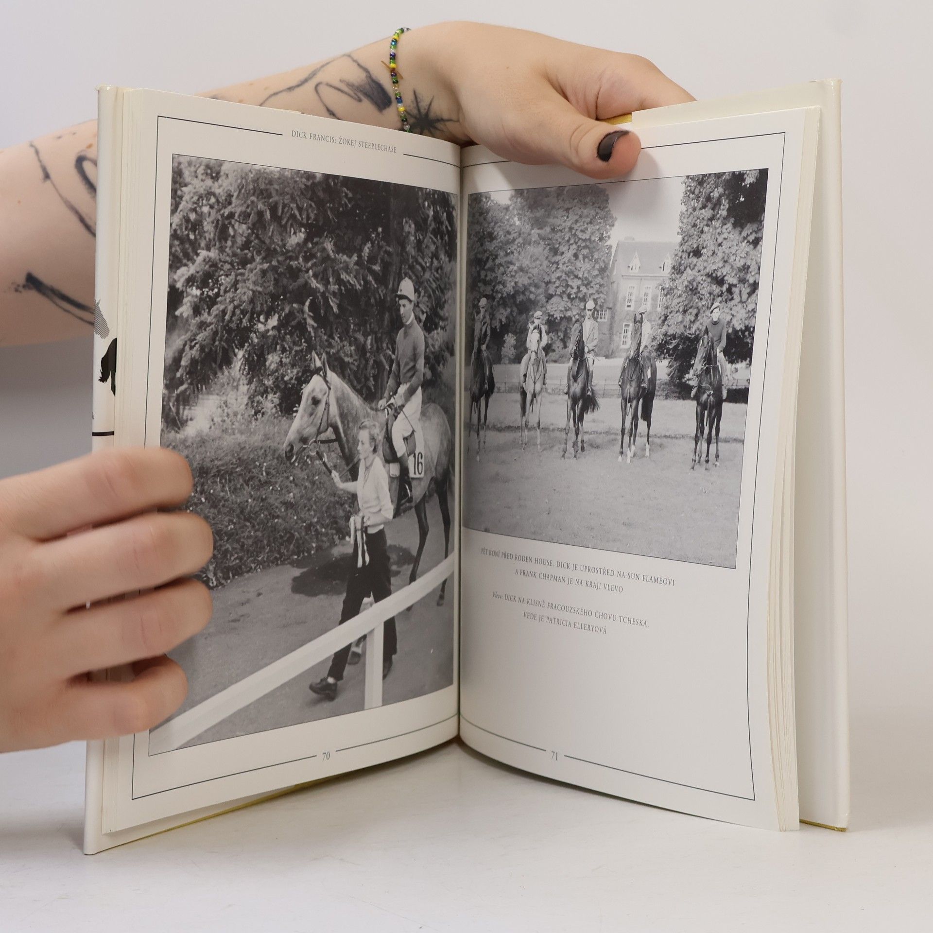 Bryony Fuller Dick Francis: žokej steeplechase