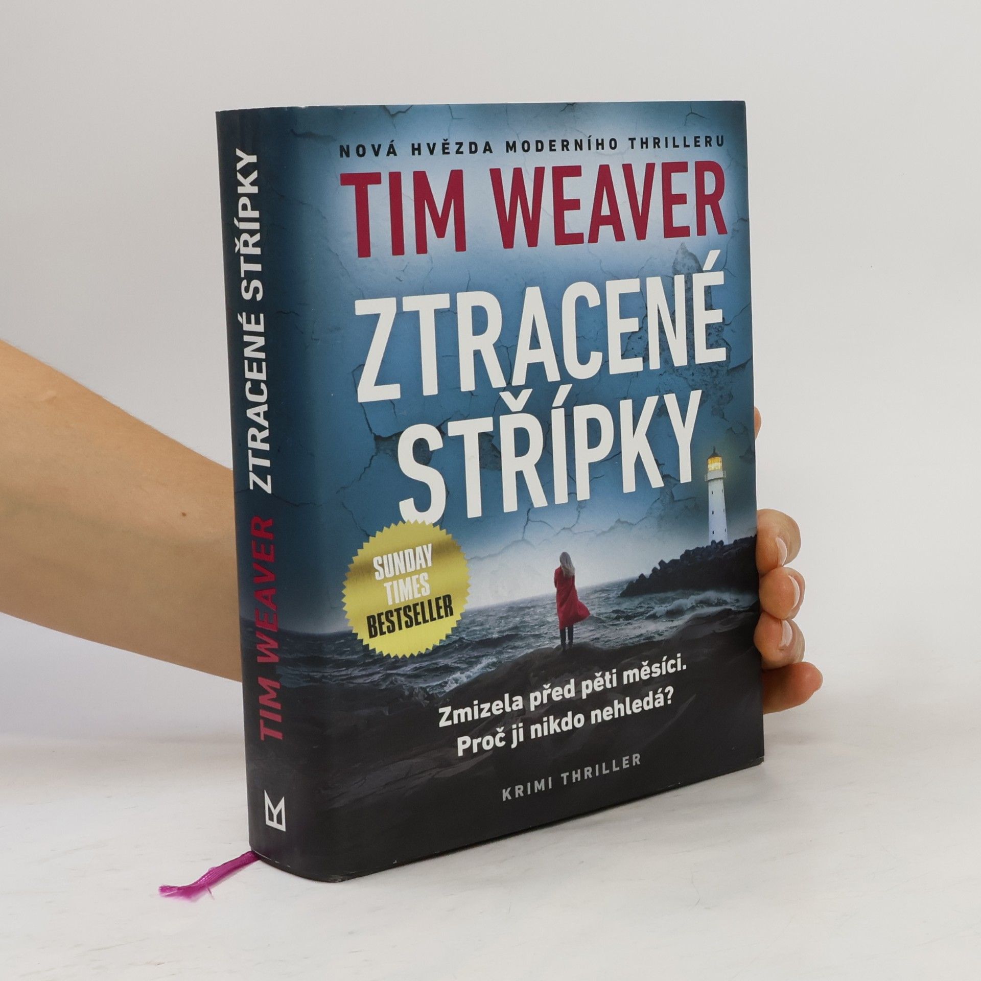 Tim Weaver Ztracené střípky