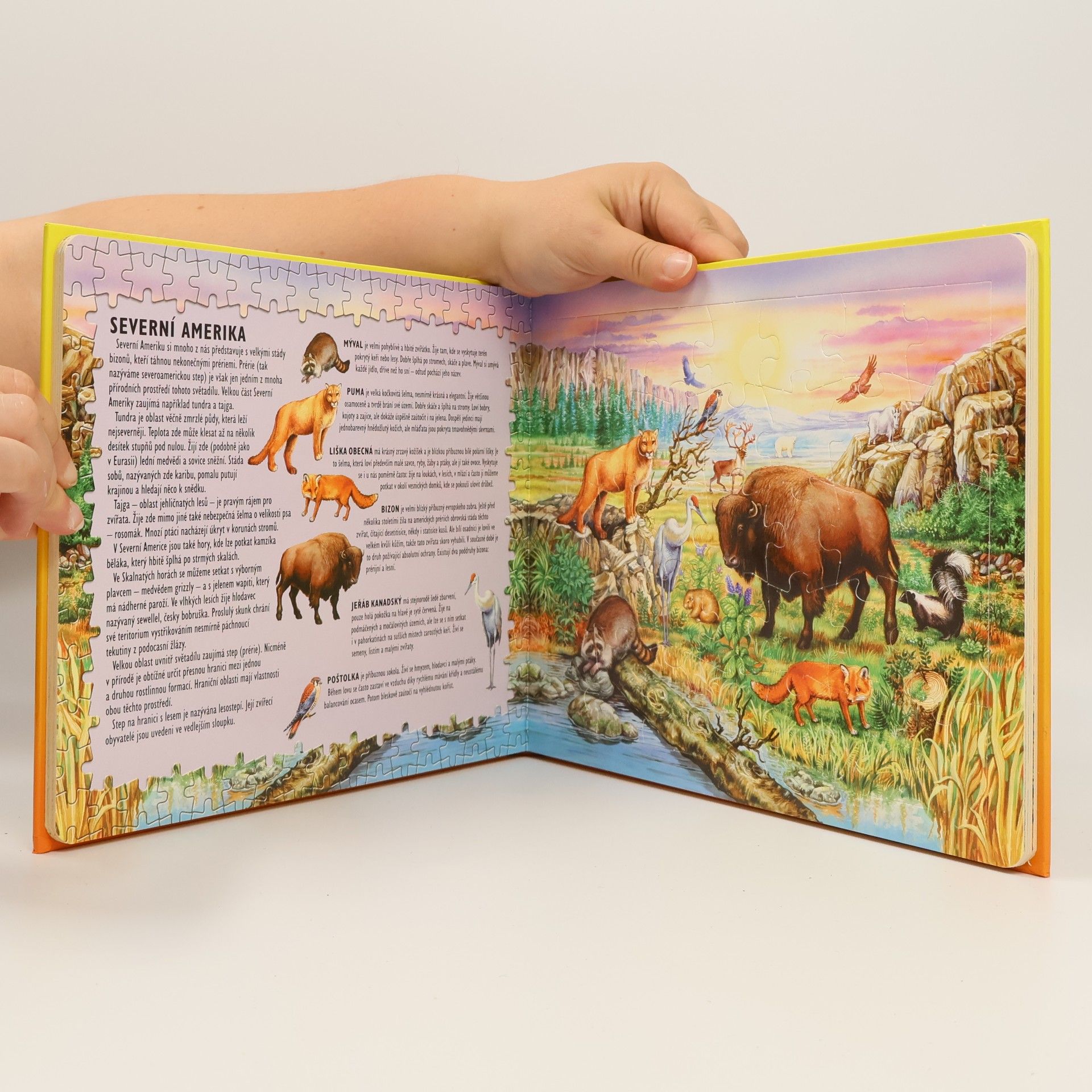Various authors Divoká zvířátka. 5x puzzle