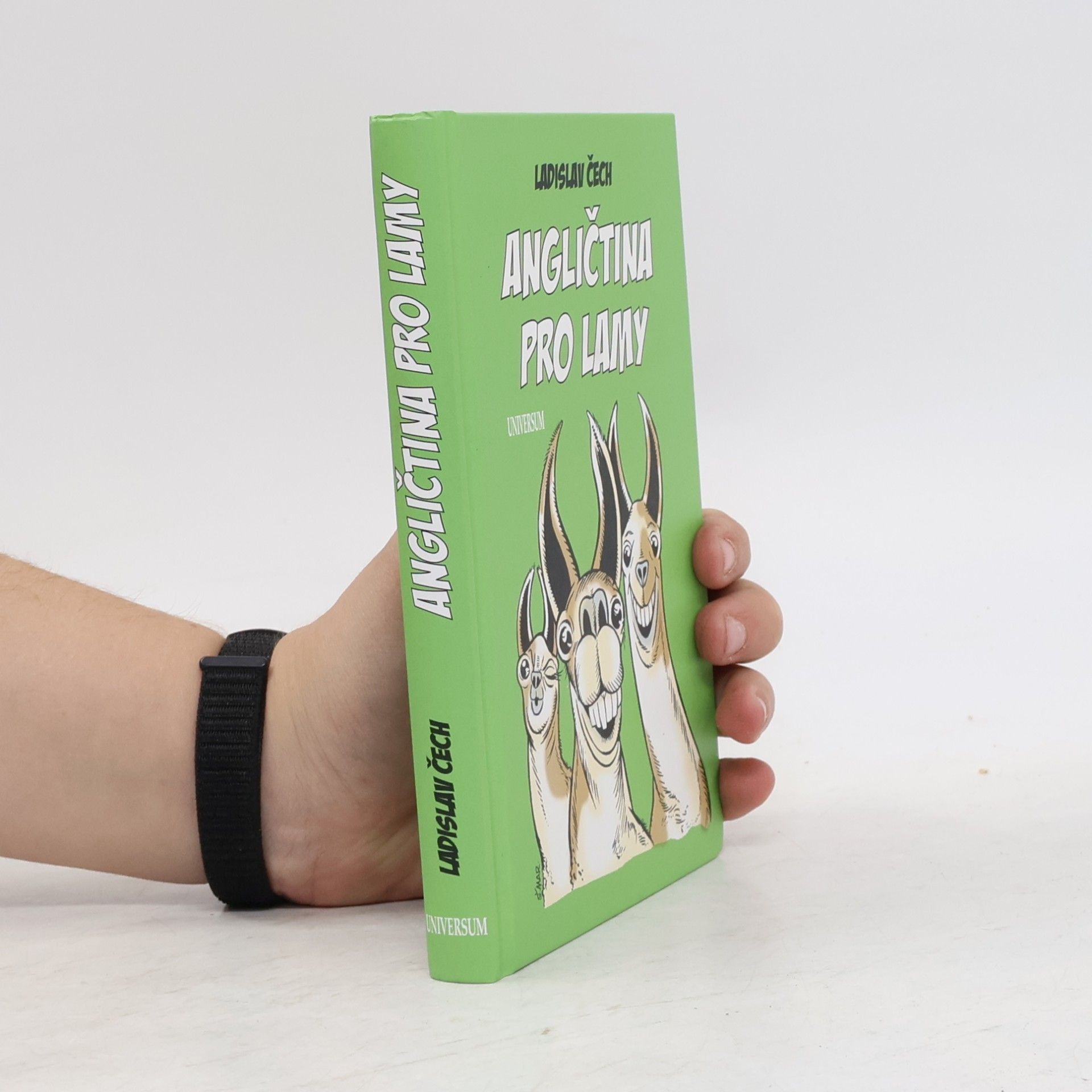 Angličtina pro lamy