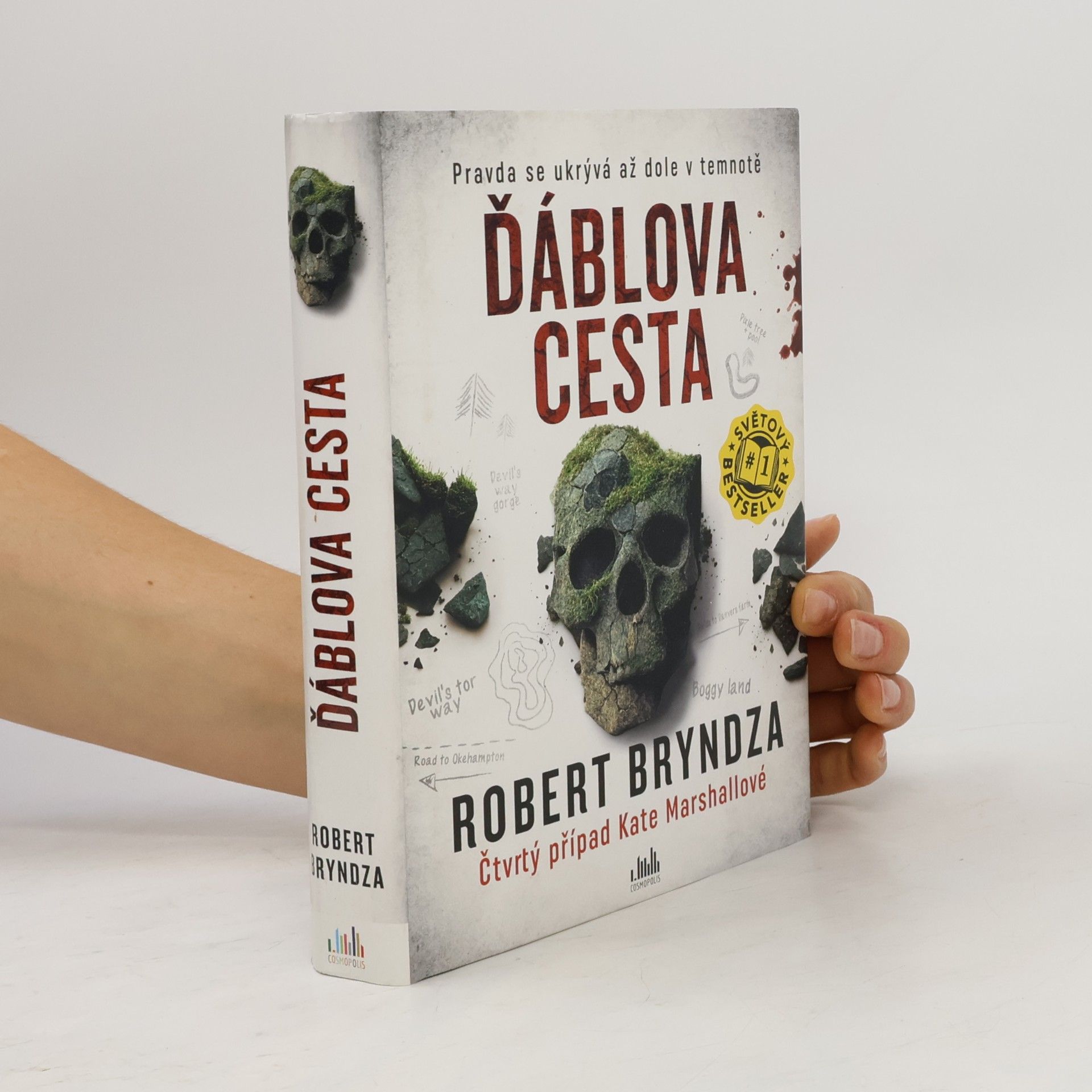 Robert Bryndza Ďáblova cesta