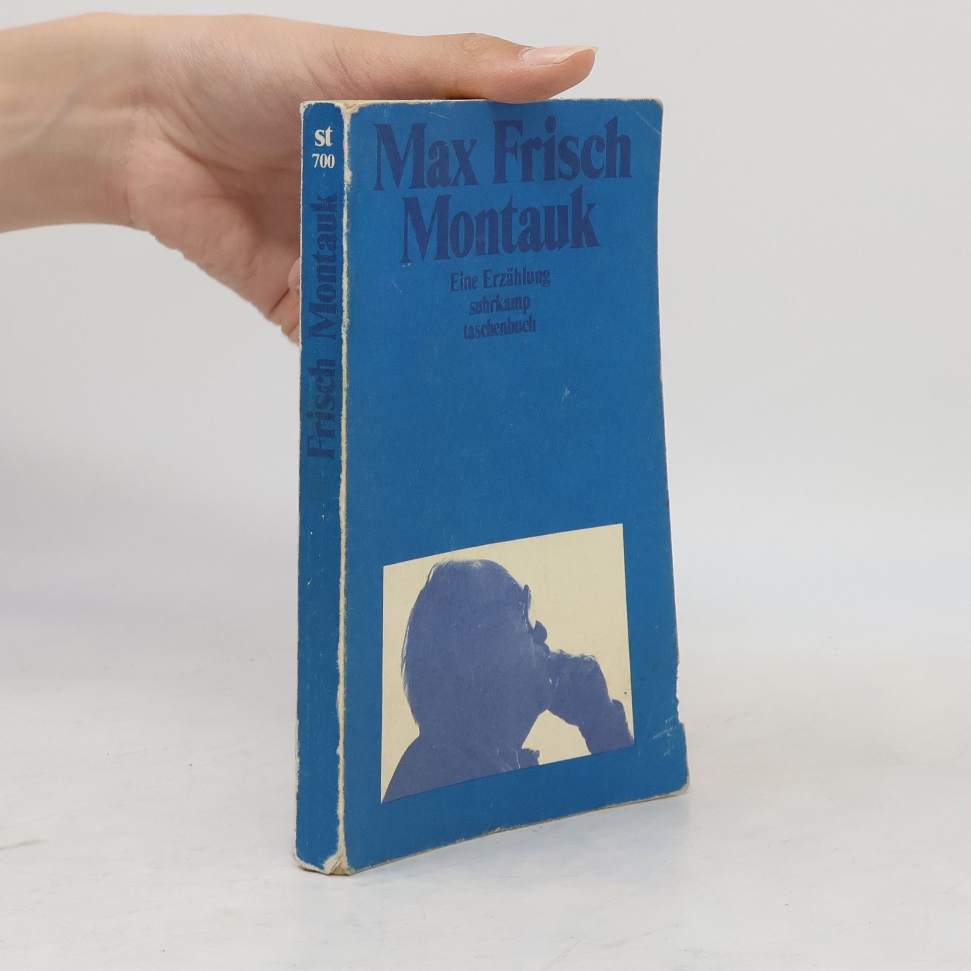 Max Frisch Montauk