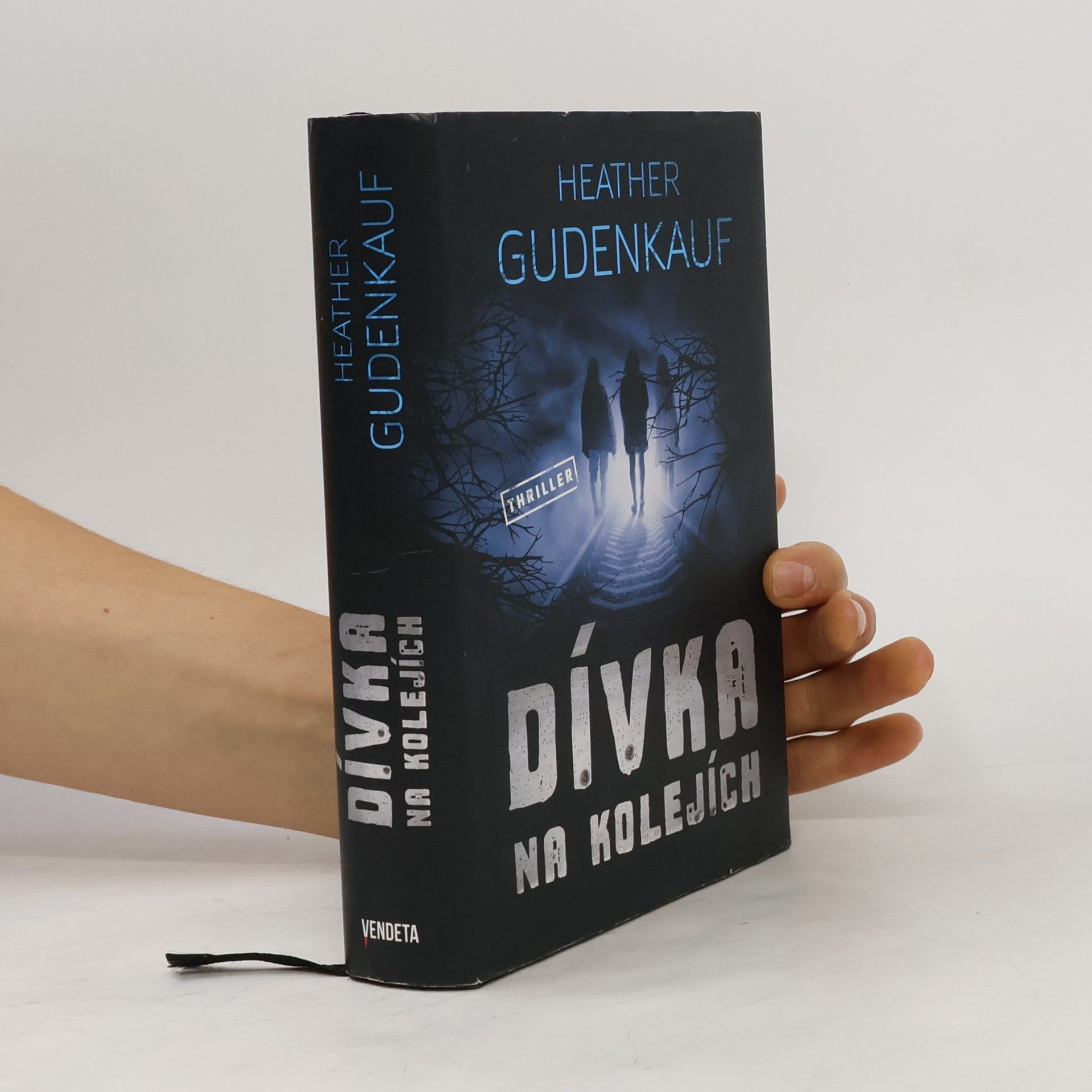 Heather Gudenkauf Dívka na kolejích