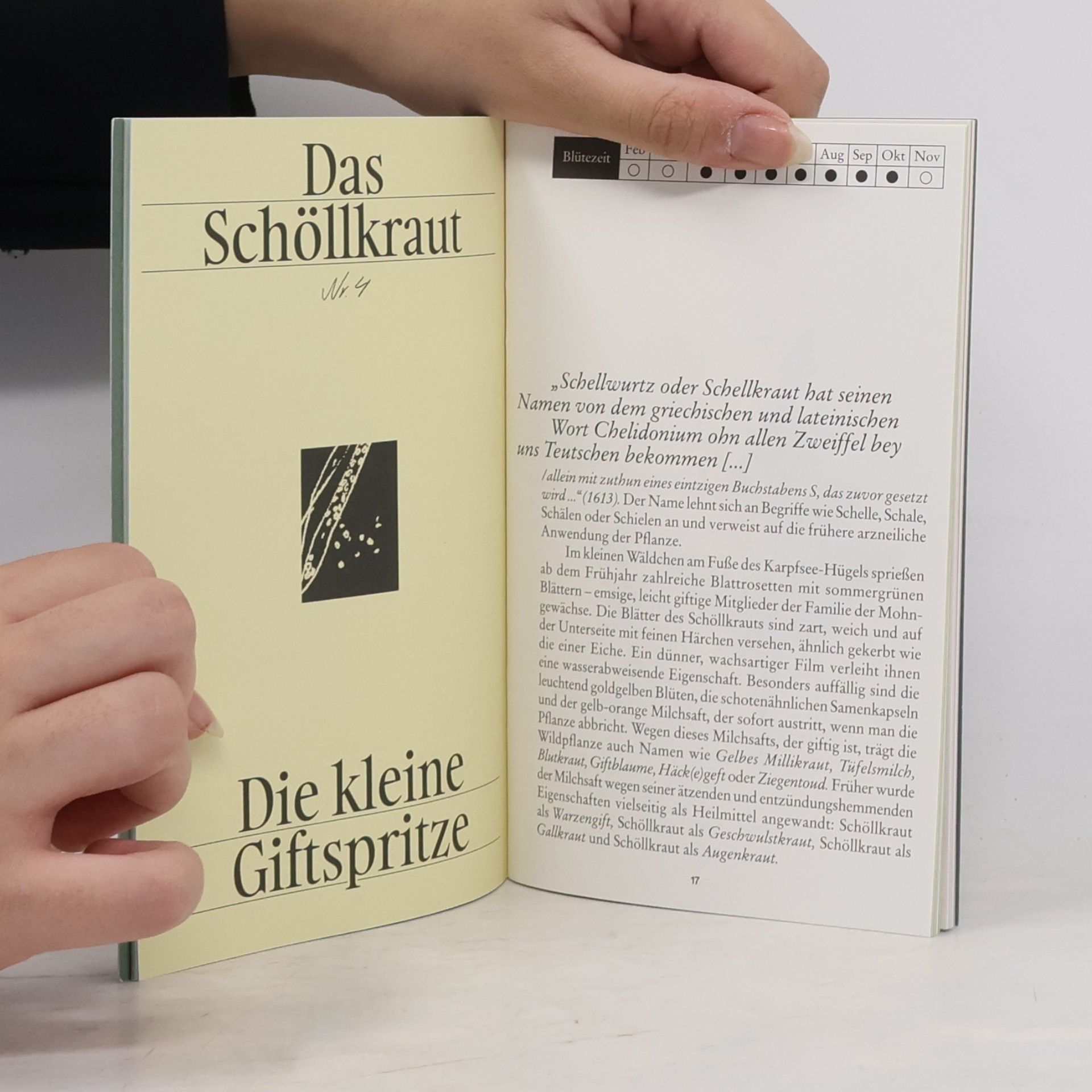 kolektiv Gestatten, Löwenzahn.