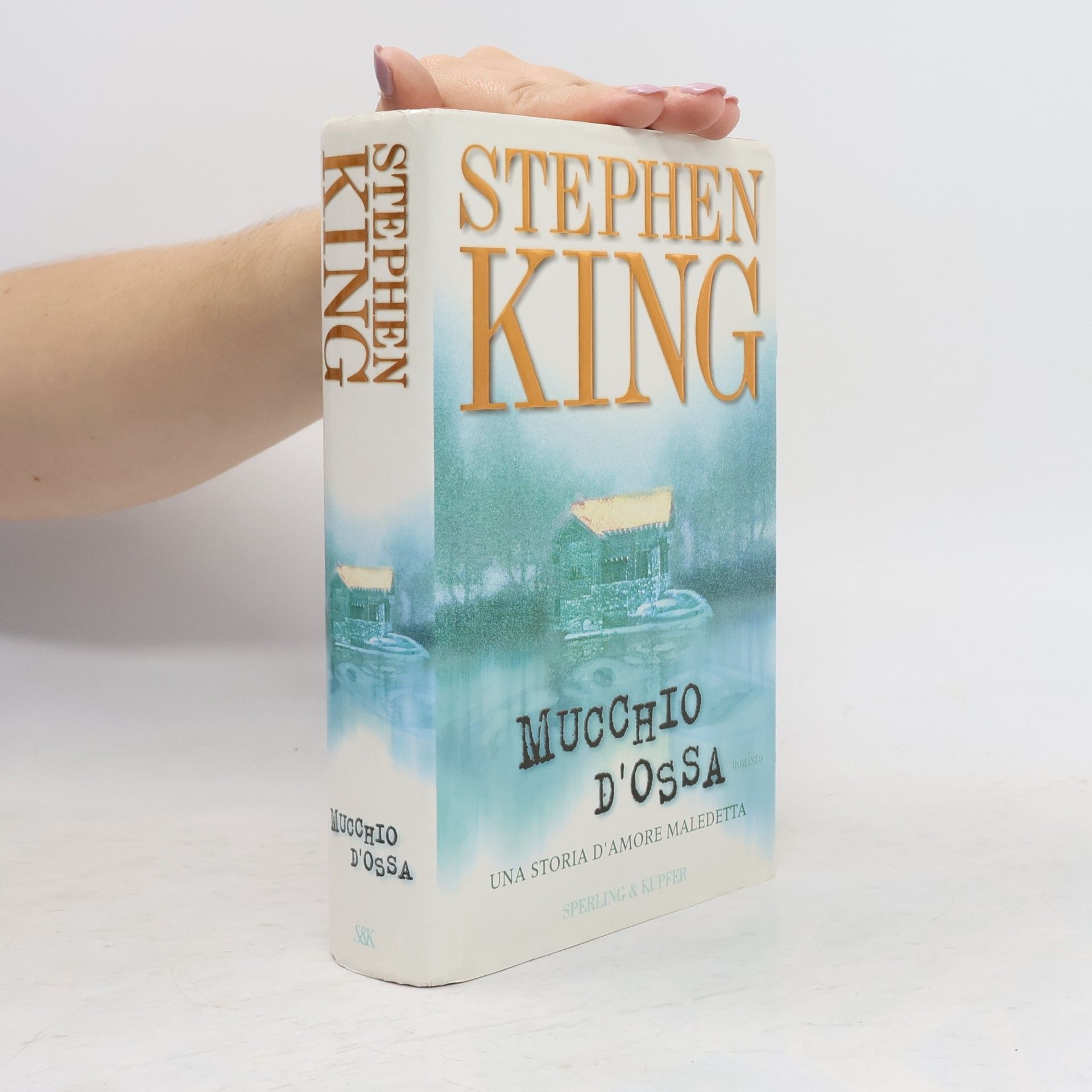 Stephen King Mucchio d'ossa