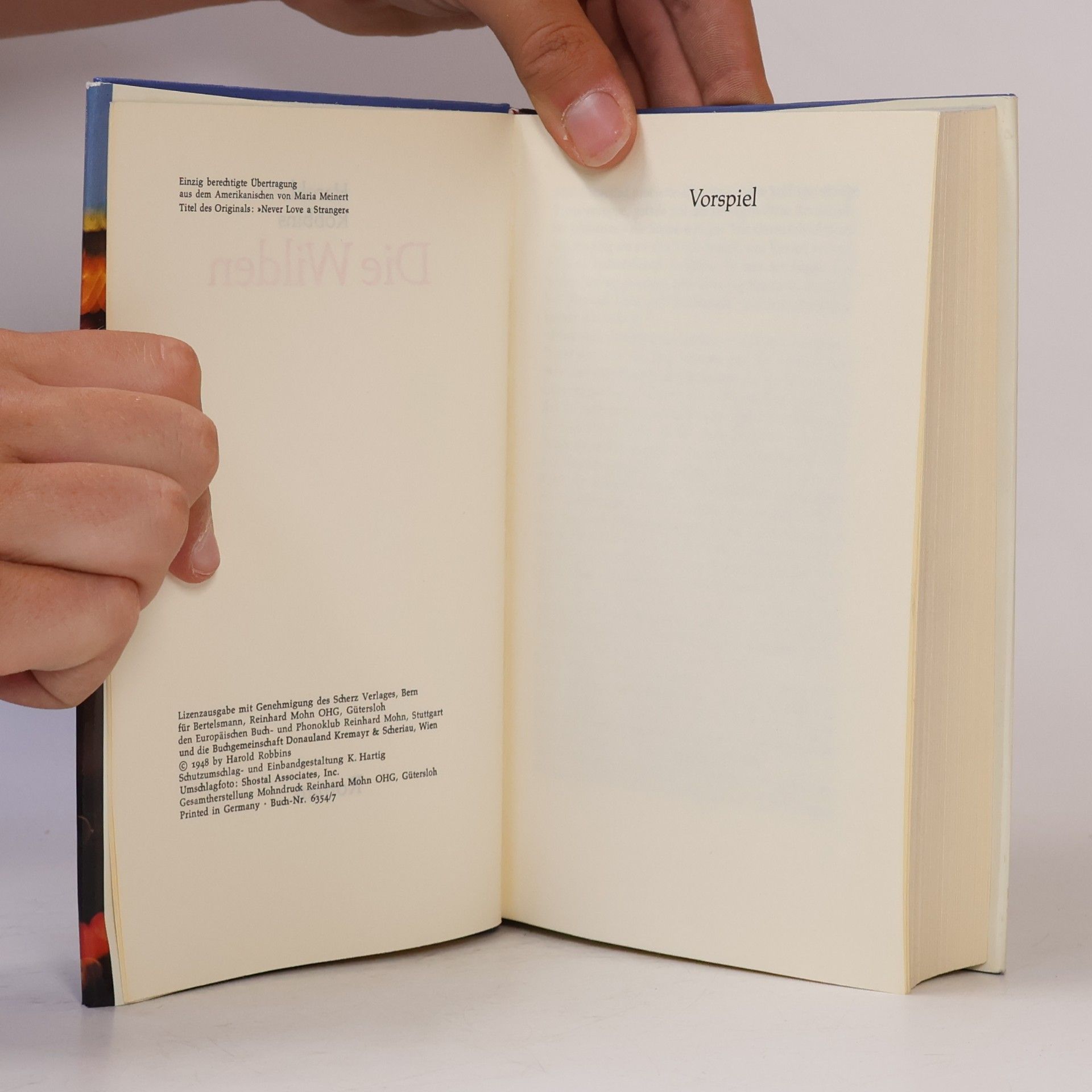 Harold Robbins Die Wilden