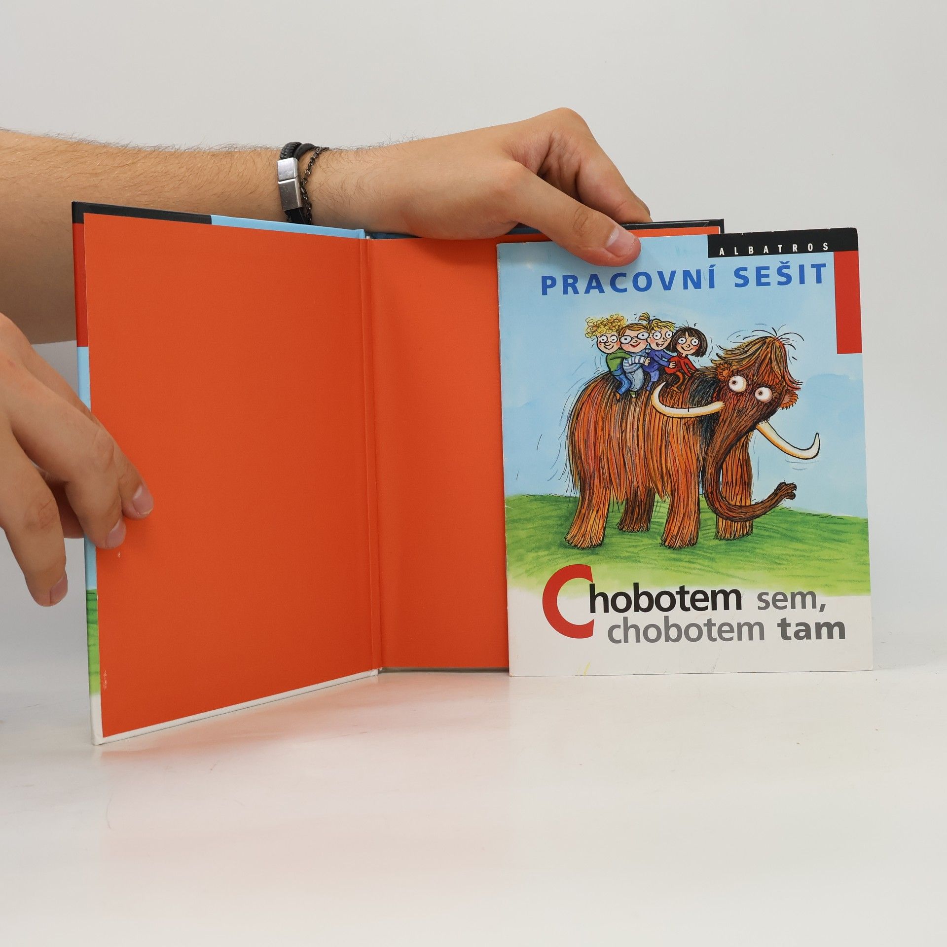 Ivona Březinová Chobotem sem, chobotem tam