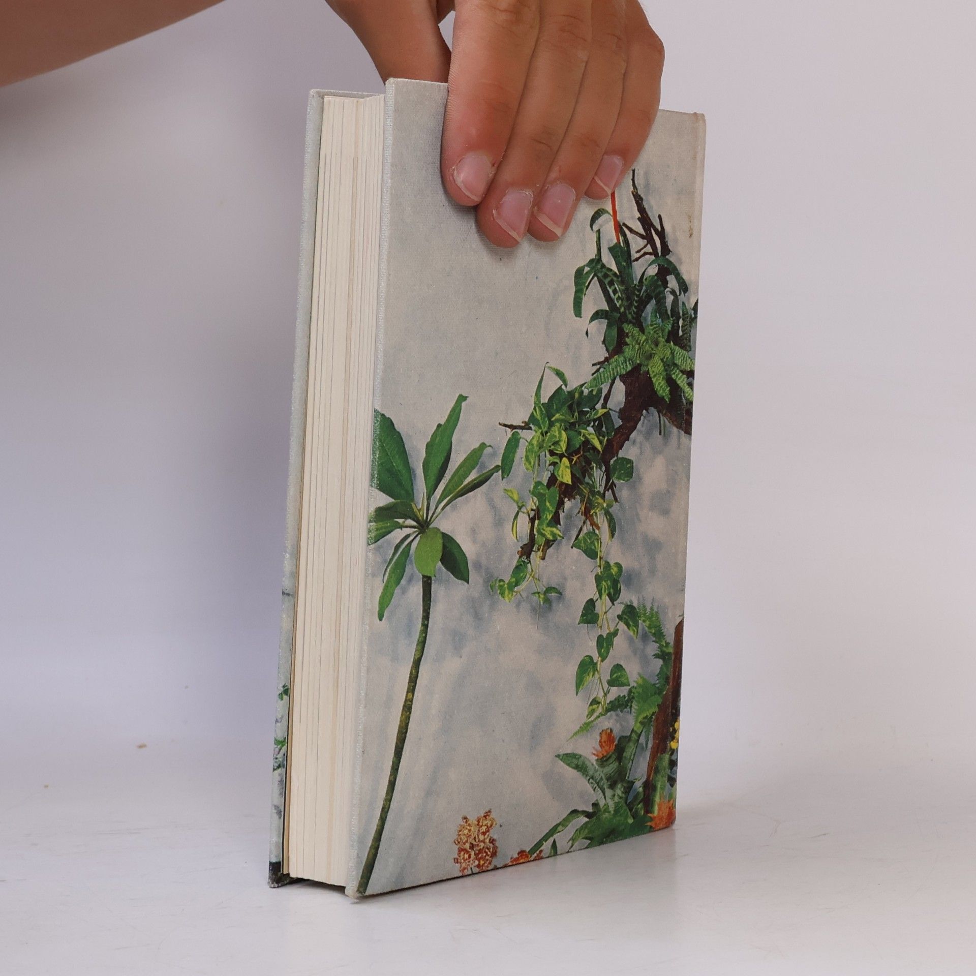 Ludwig Koch-Isenburg Knaurs Blumen- und Pflanzenbuch im Haus