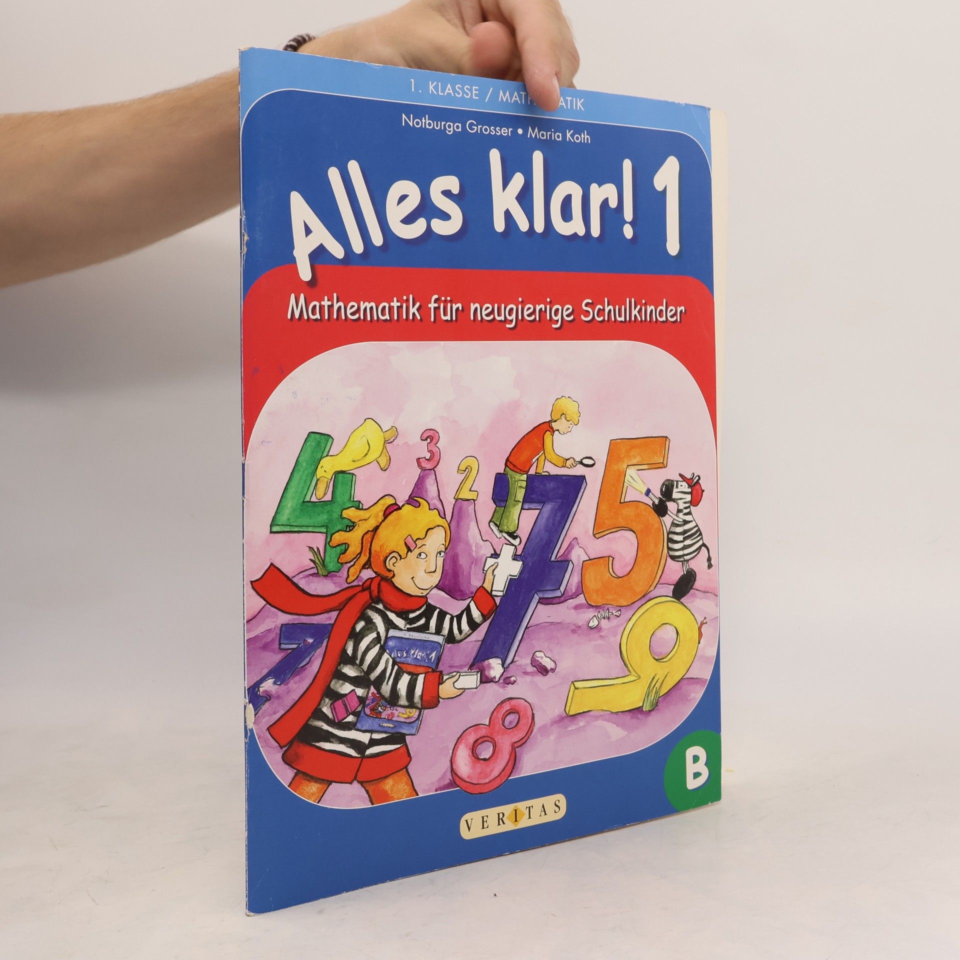 Notburga Grosser Alles klar! Mathematik für neugierige Schulkinder. Per la Scuola elementare