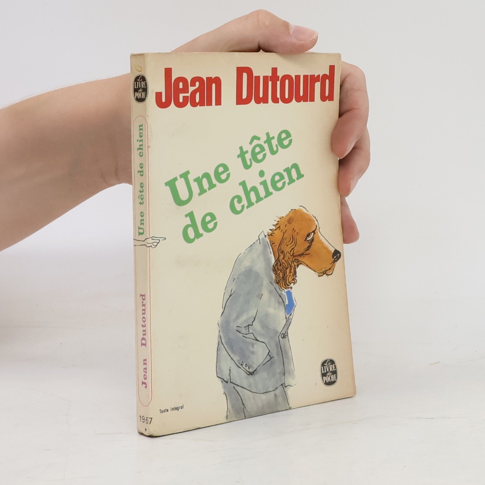Une tête de chien