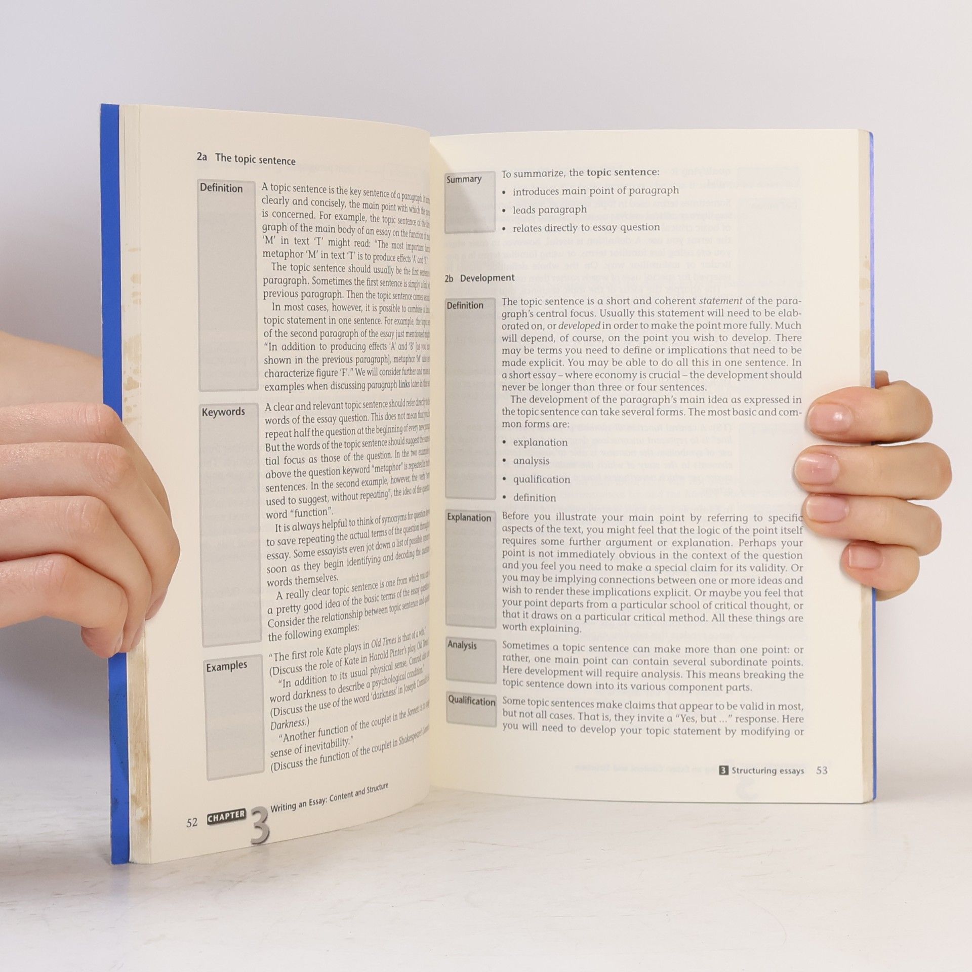 Richard Aczel How to Write an Essay