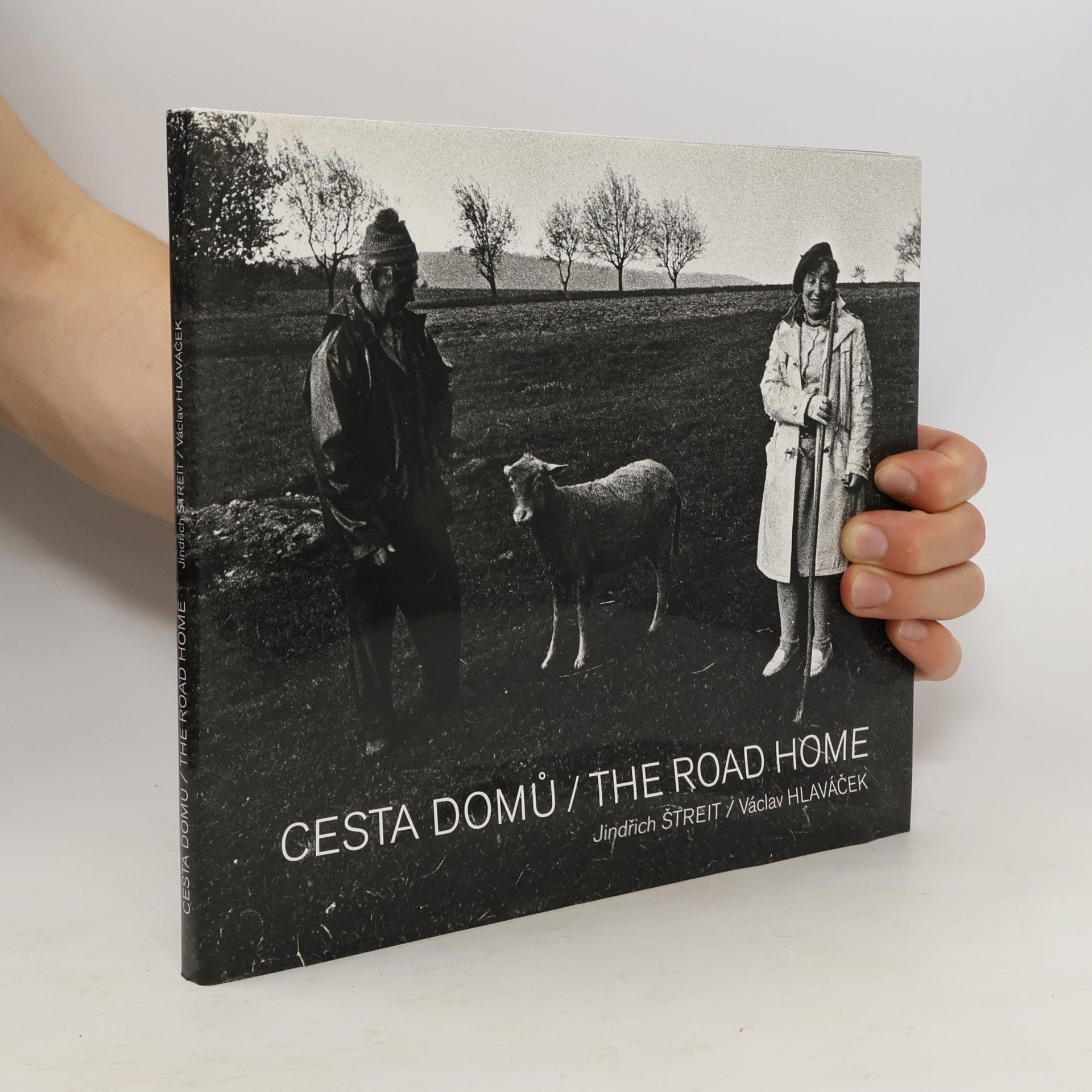 Hlaváček Václav Cesta domů = The road home