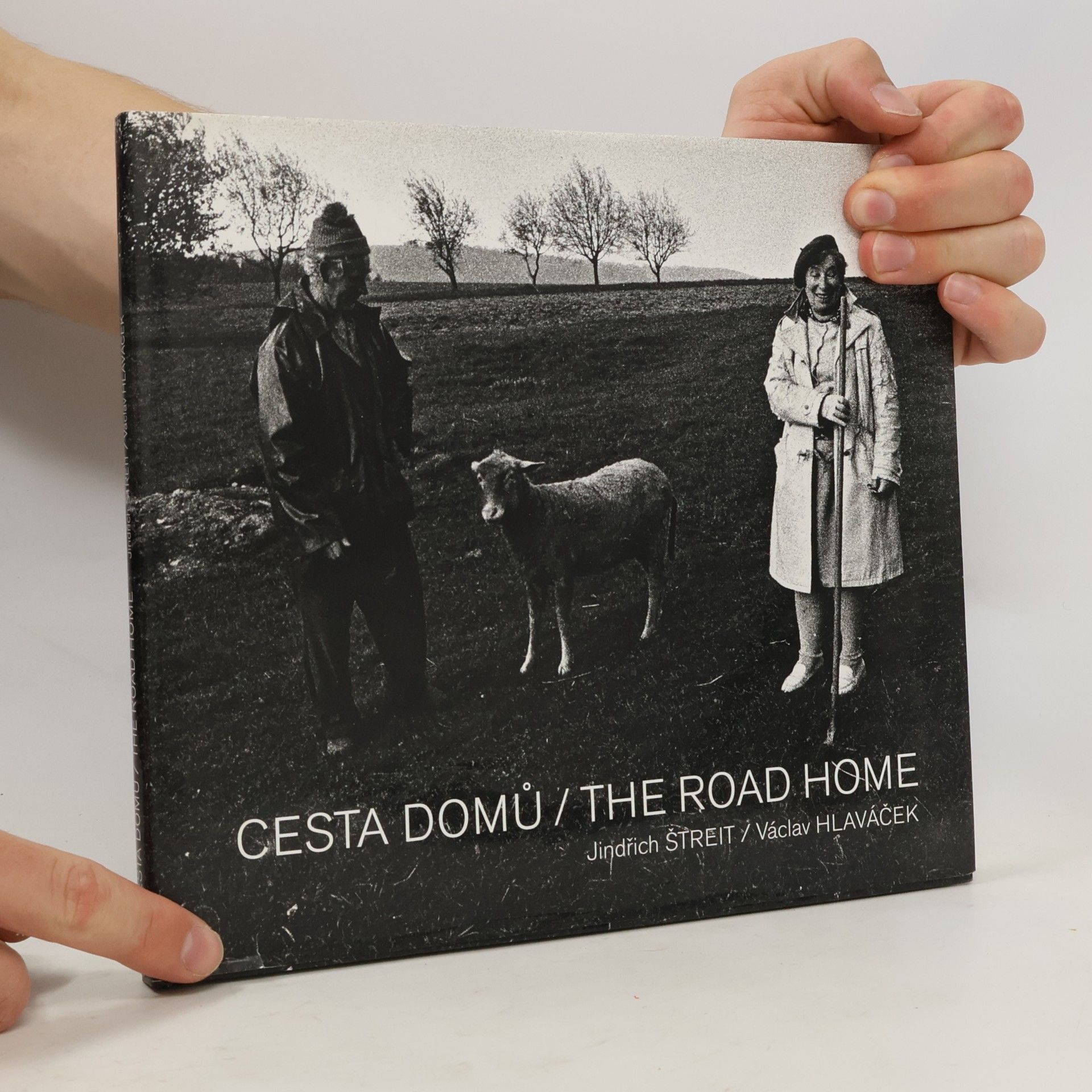 Jindřich Štreit Cesta domů = The road home