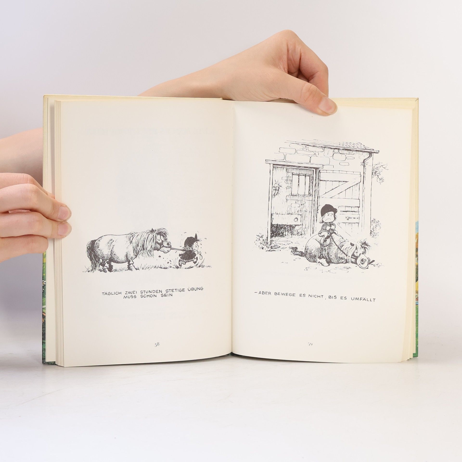 Norman Thelwell Reitereien