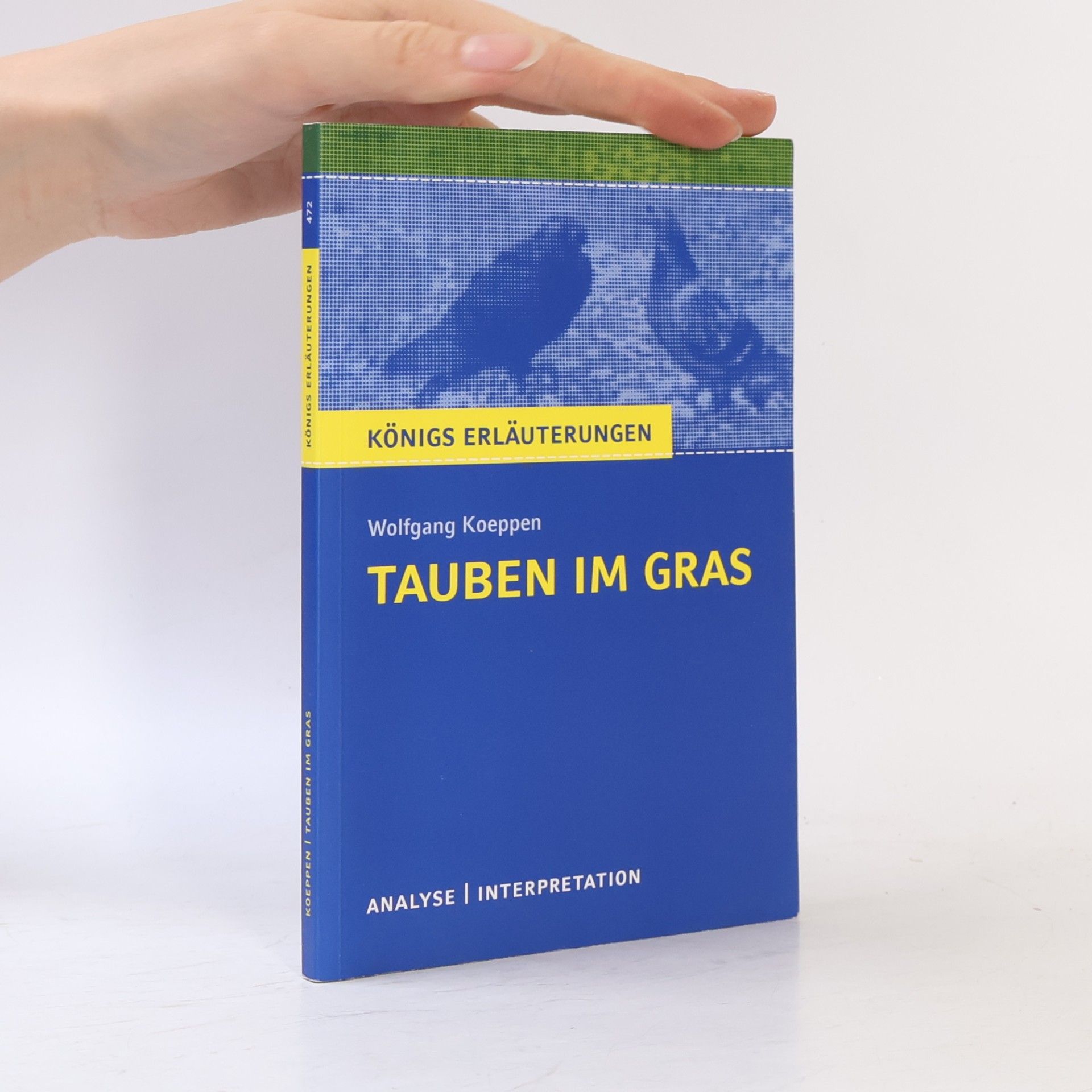 Horst Grobe Interpretation zu Wolfgang Koeppen 'Tauben im Gras'