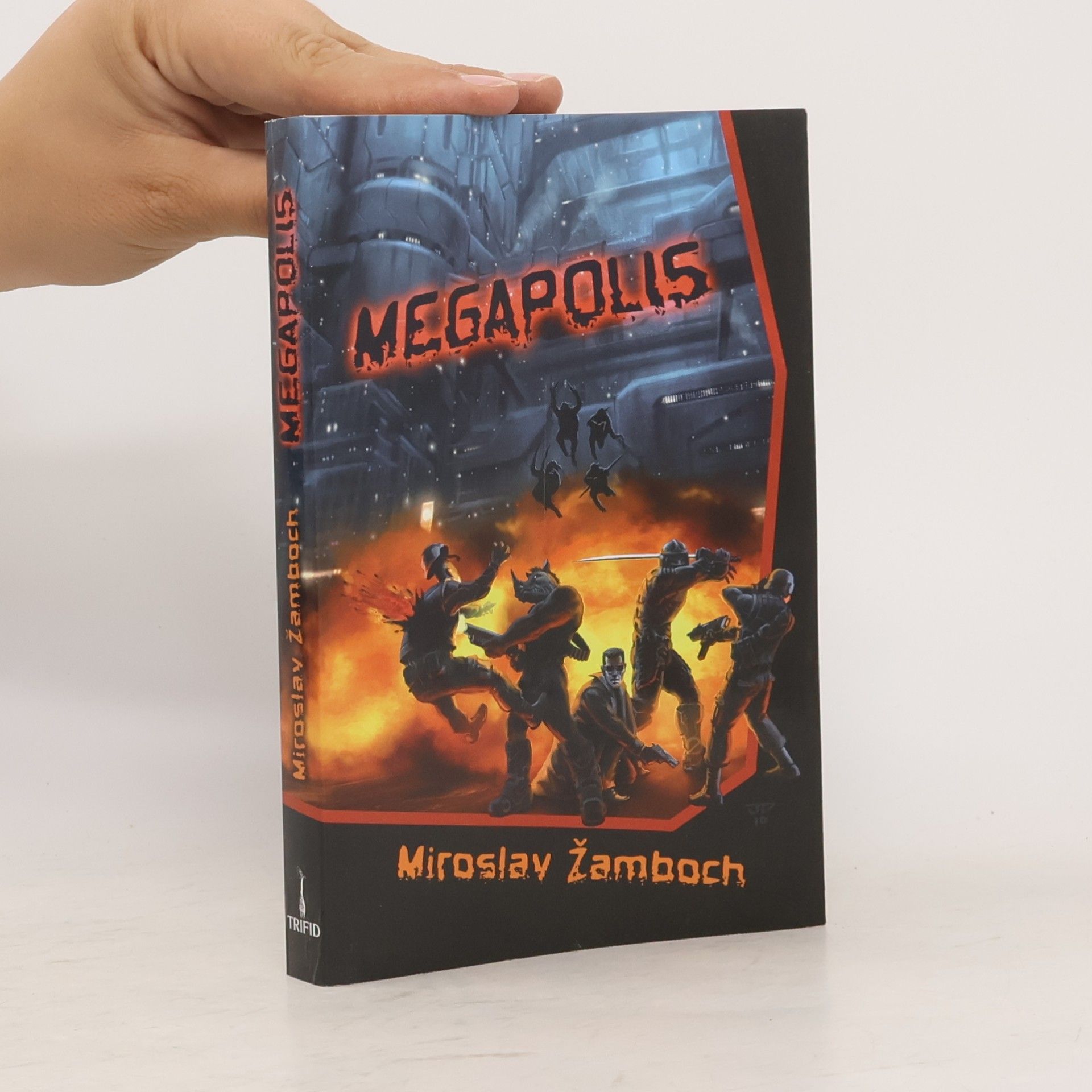 Miroslav Žamboch Megapolis