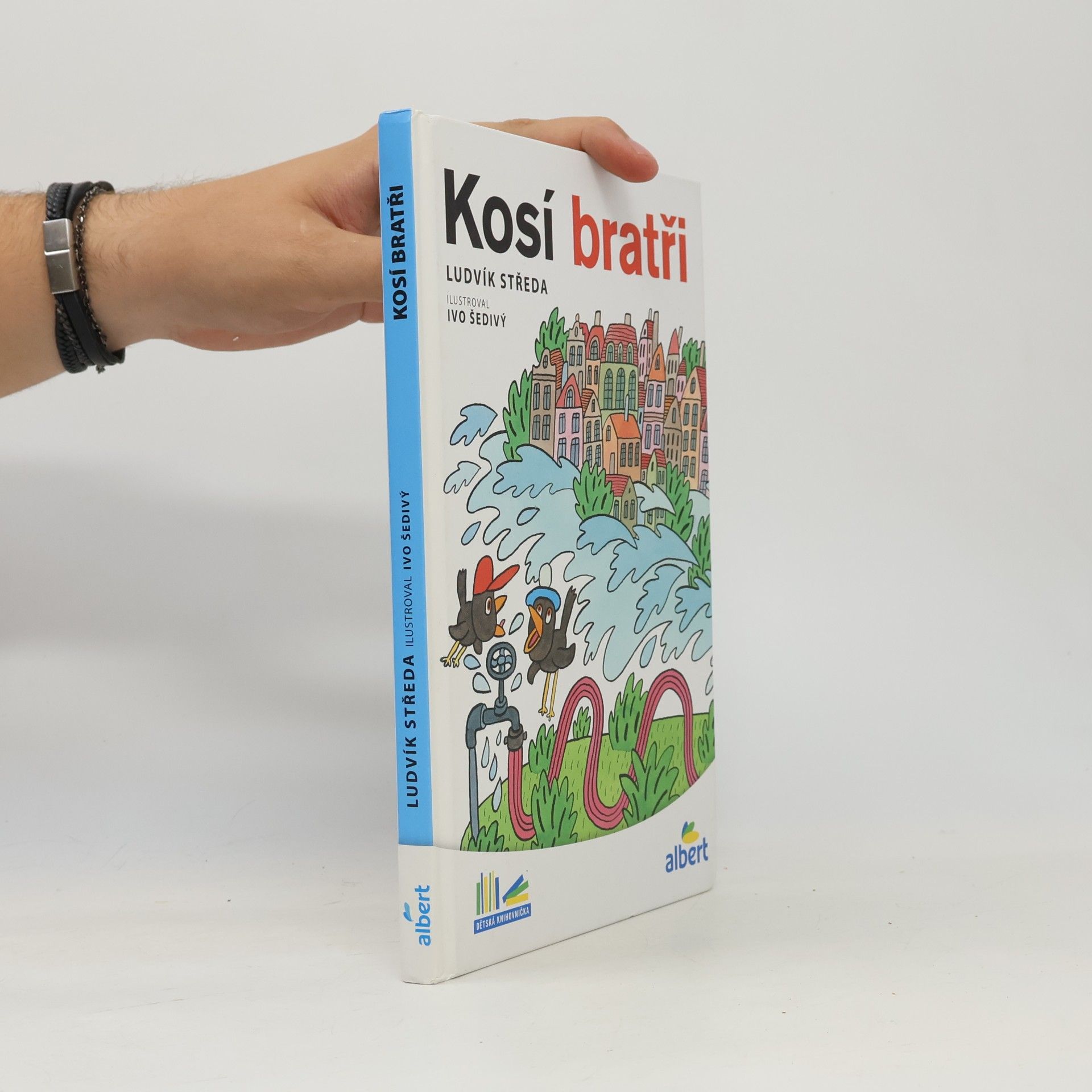 Ludvík Středa Kosí bratři
