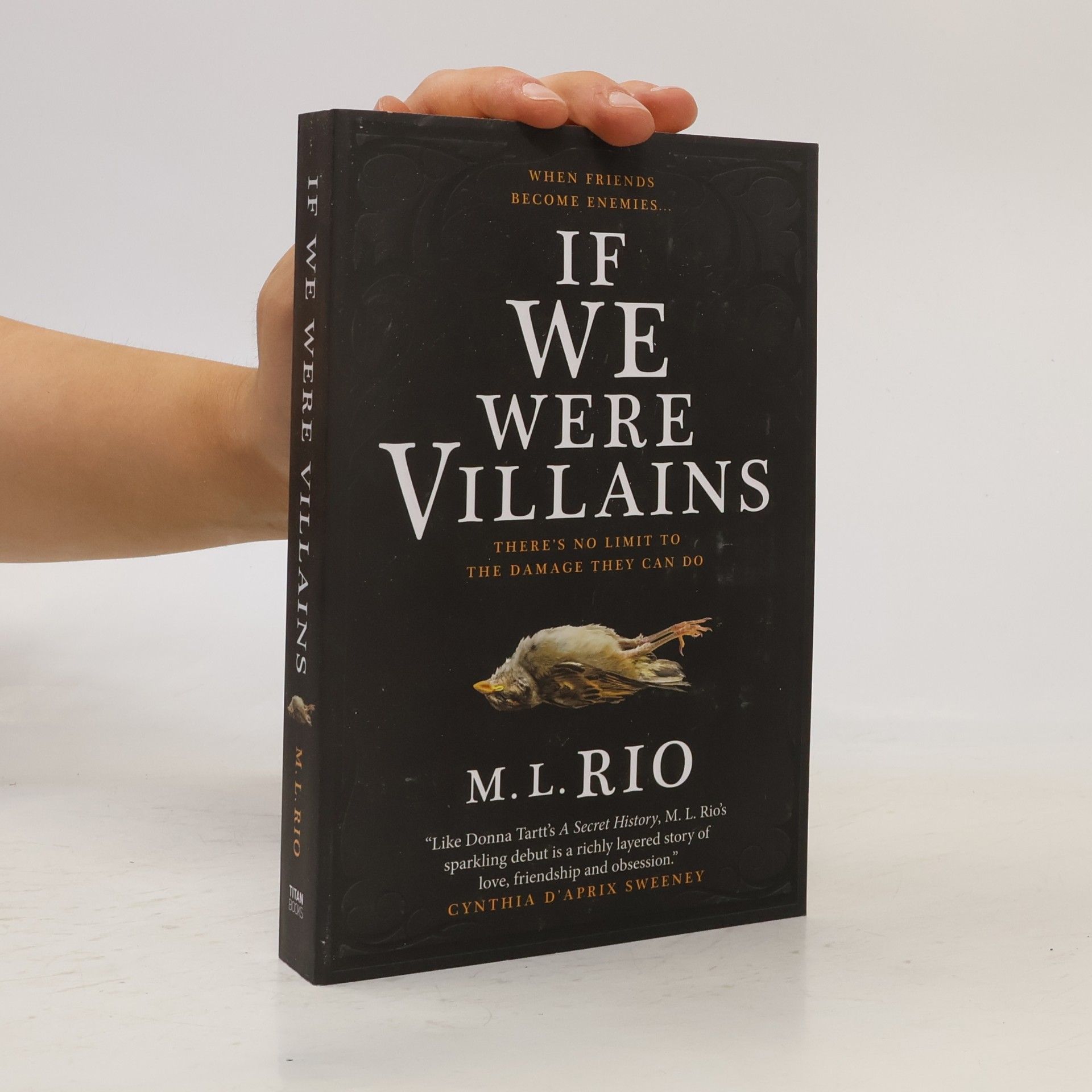 M. L. Rio If We Were Villains