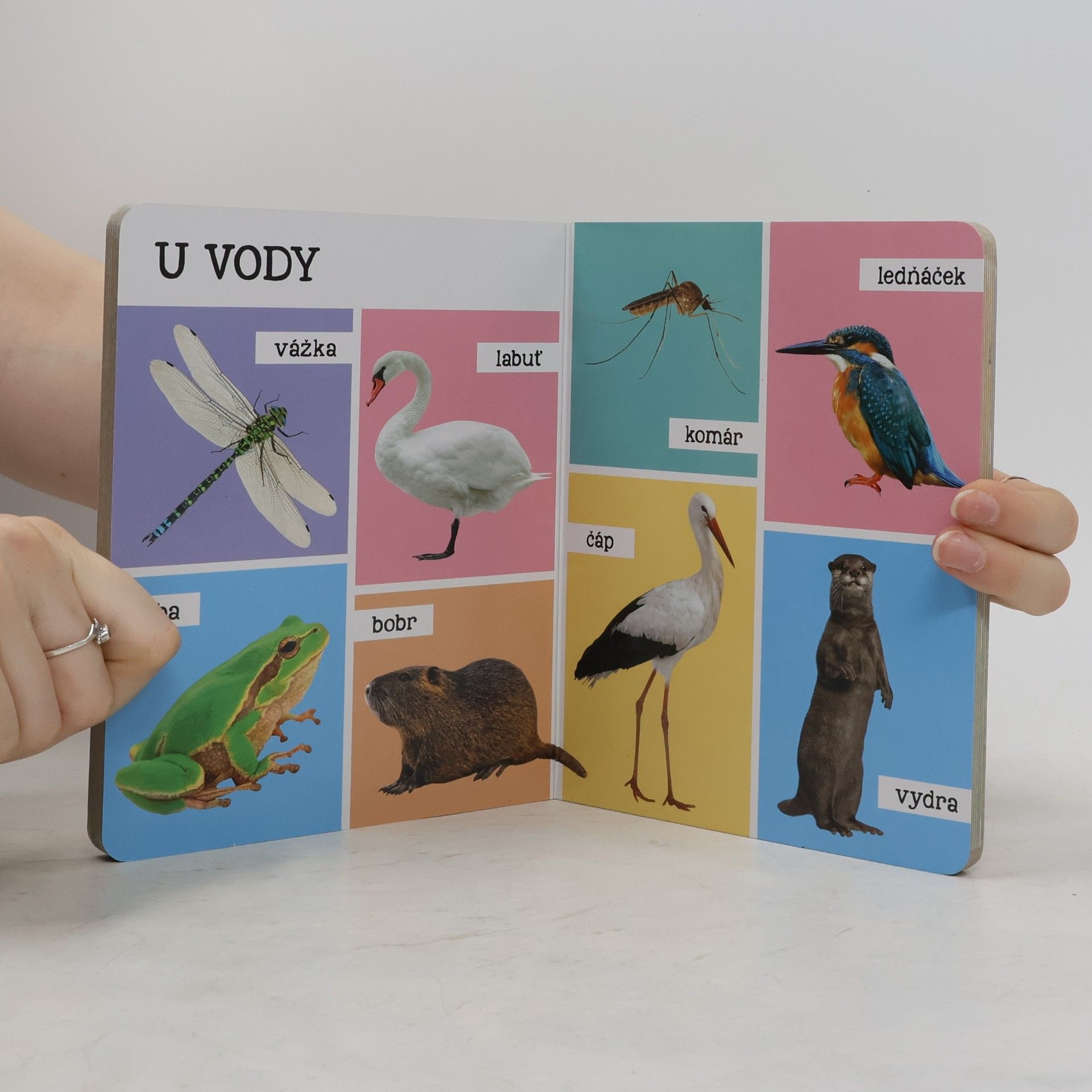 Kolektiv autorů Mých prvních 100 zvířat